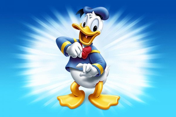 Donald Duck Desktop Wallpaper & Background Beautiful Best Available For Download Donald Duck Desktop Photo Free On Zicxa.com Image