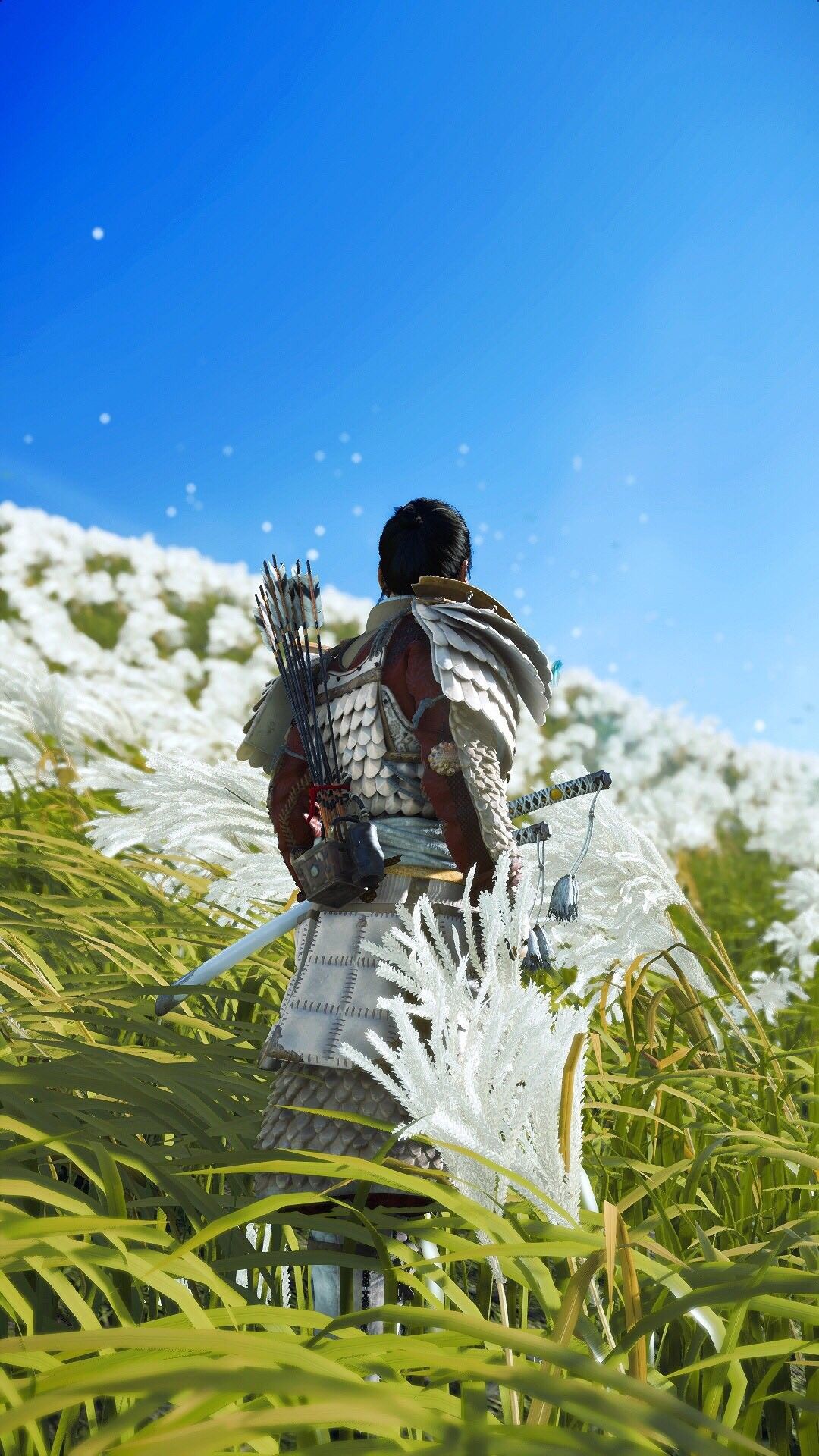 Ghost of Tsushima 4k HD background wallpaper. Ghost of tsushima, Video games aesthetic wallpaper, Samurai artwork