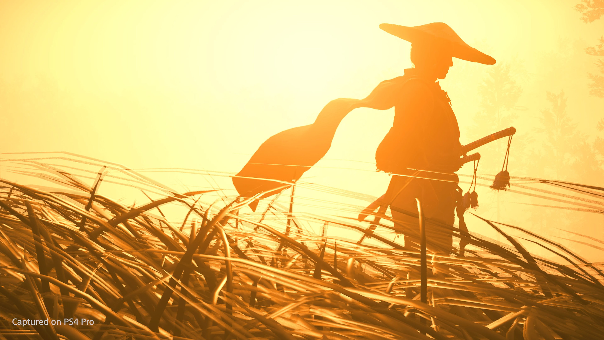 Ghost of Tsushima: Photo Mode gallery and tips guide