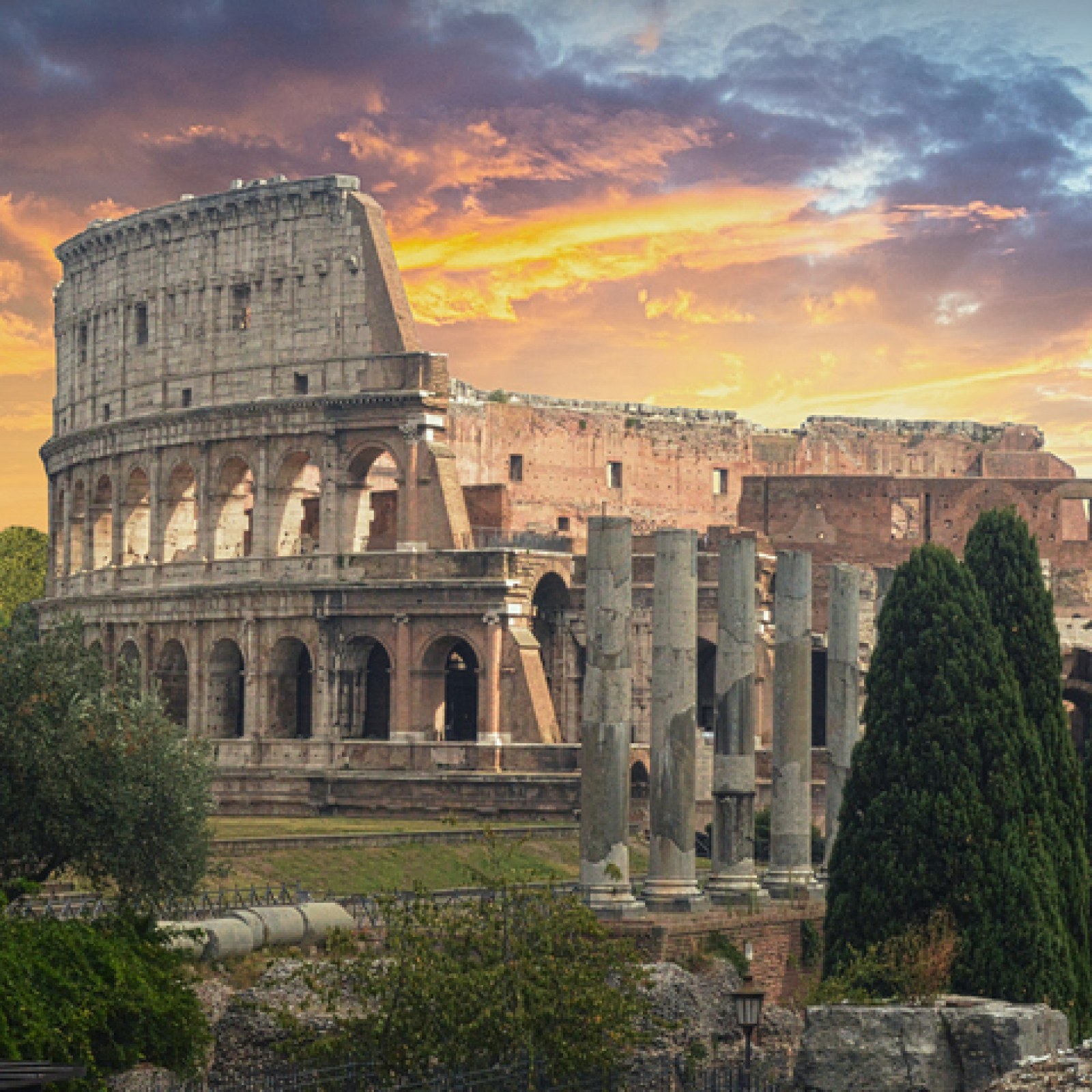 Trees Remember Everything—Even The Fall of the Roman Empire