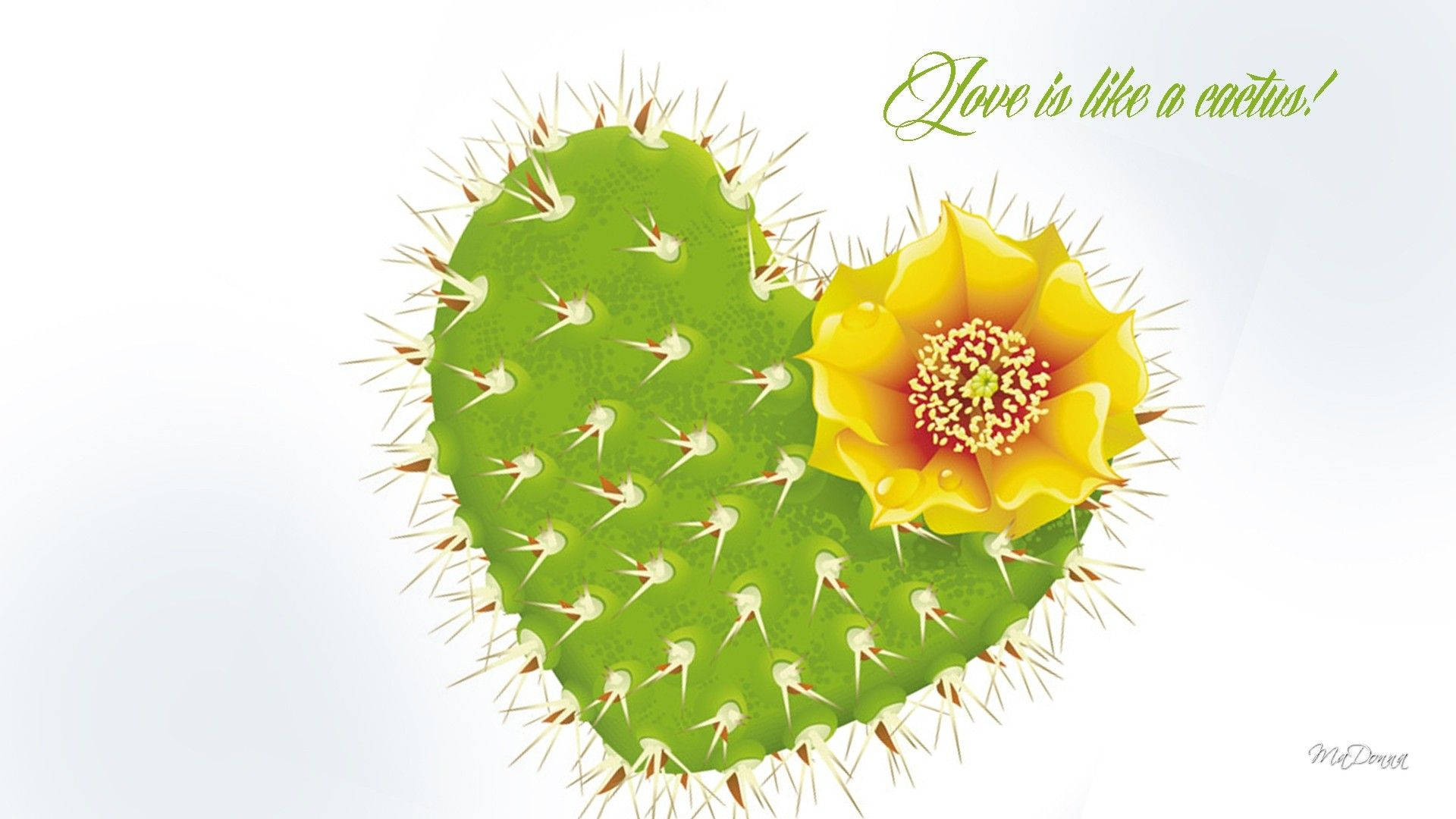 Download Cactus Wallpaper