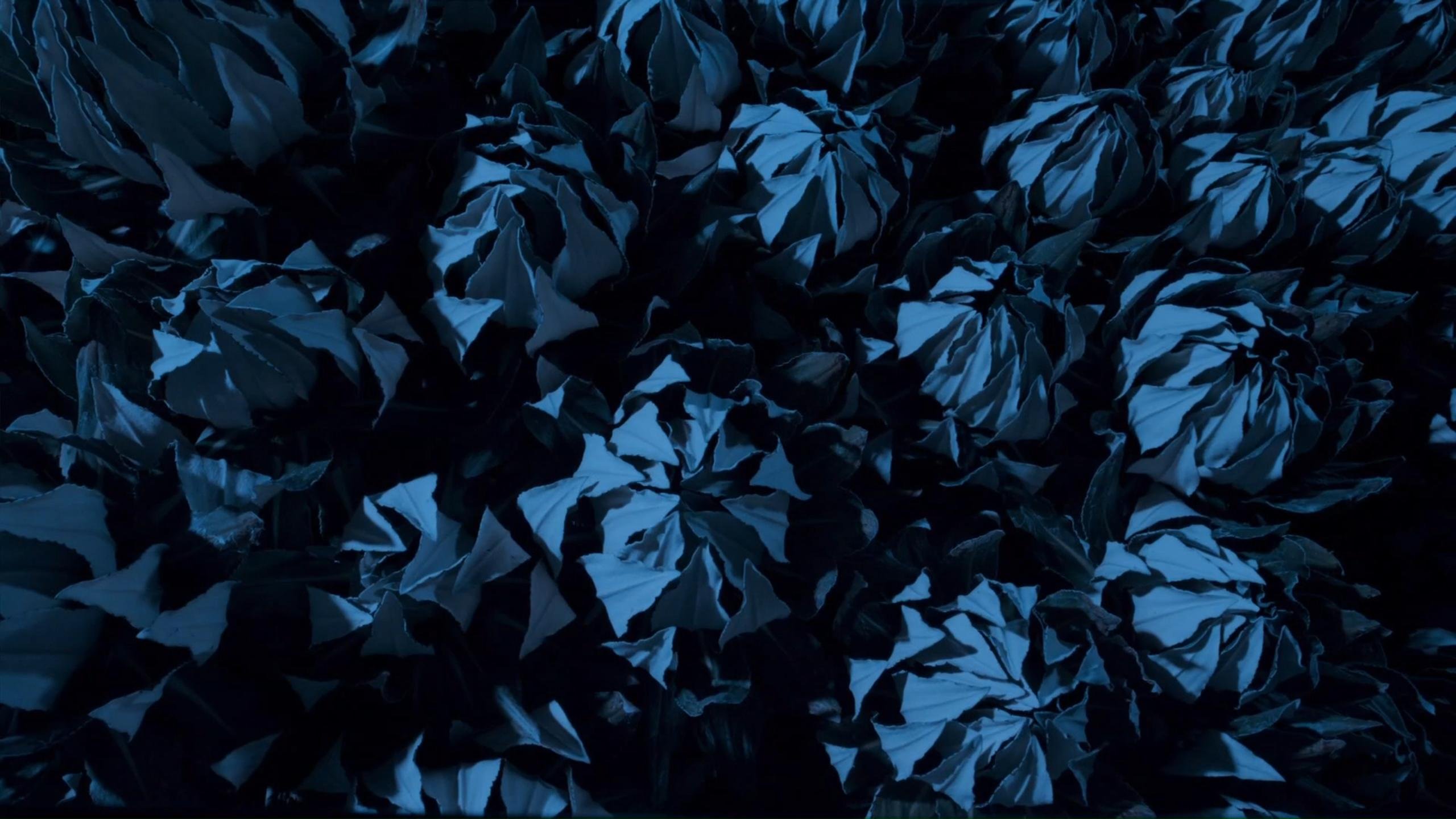 Black and Blue HD wallpaper