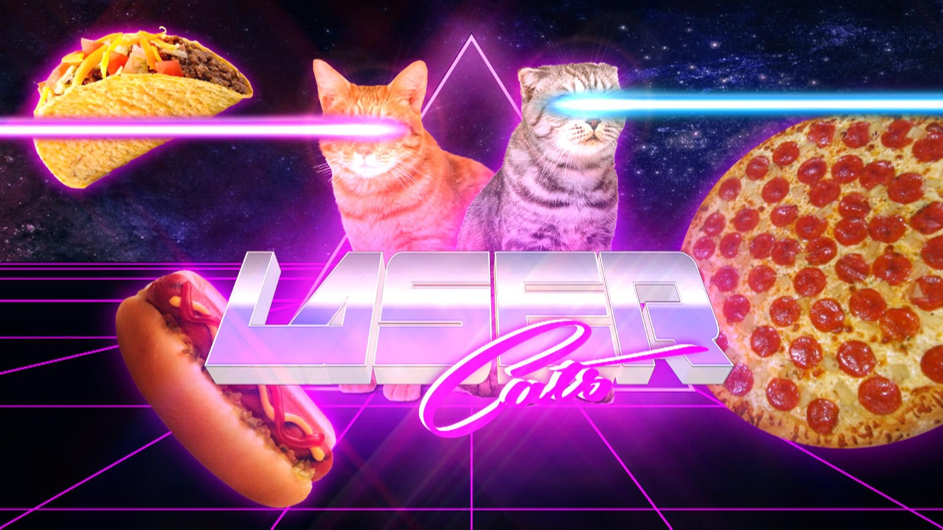 laser cats
