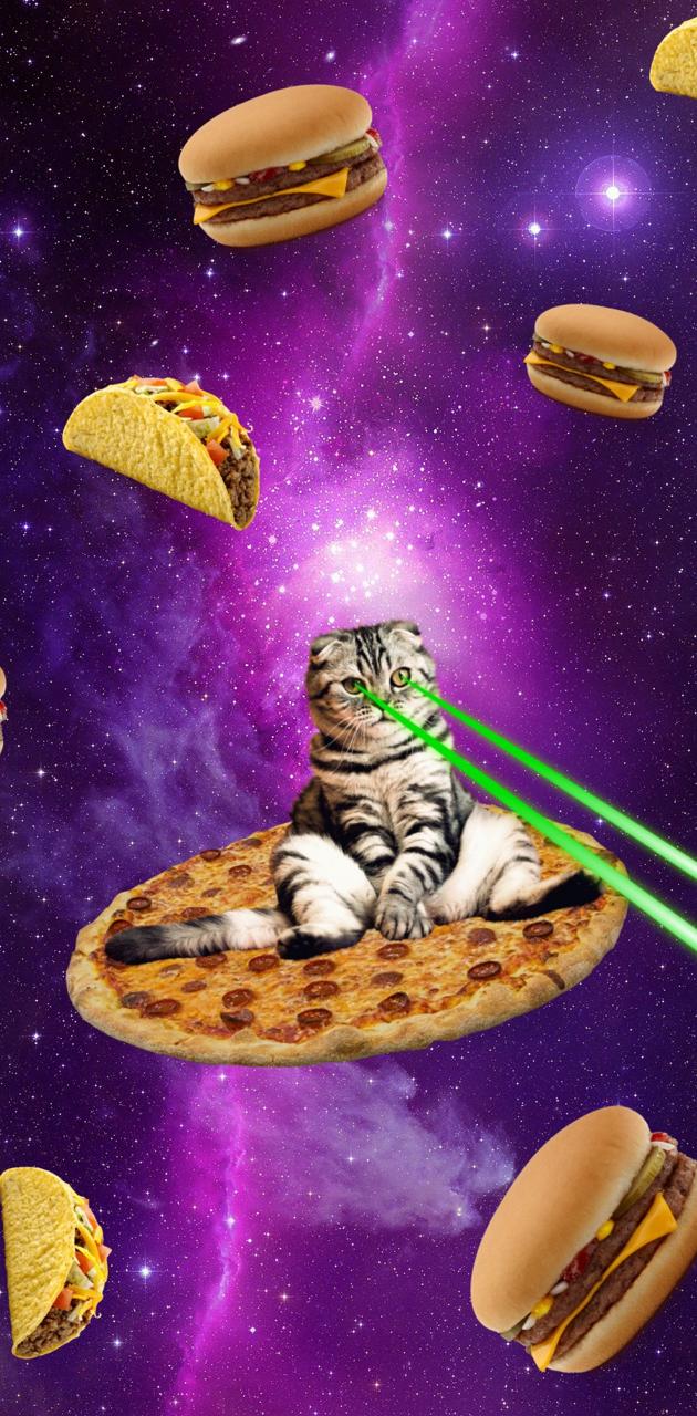 Laser Pizza Cat wallpaper