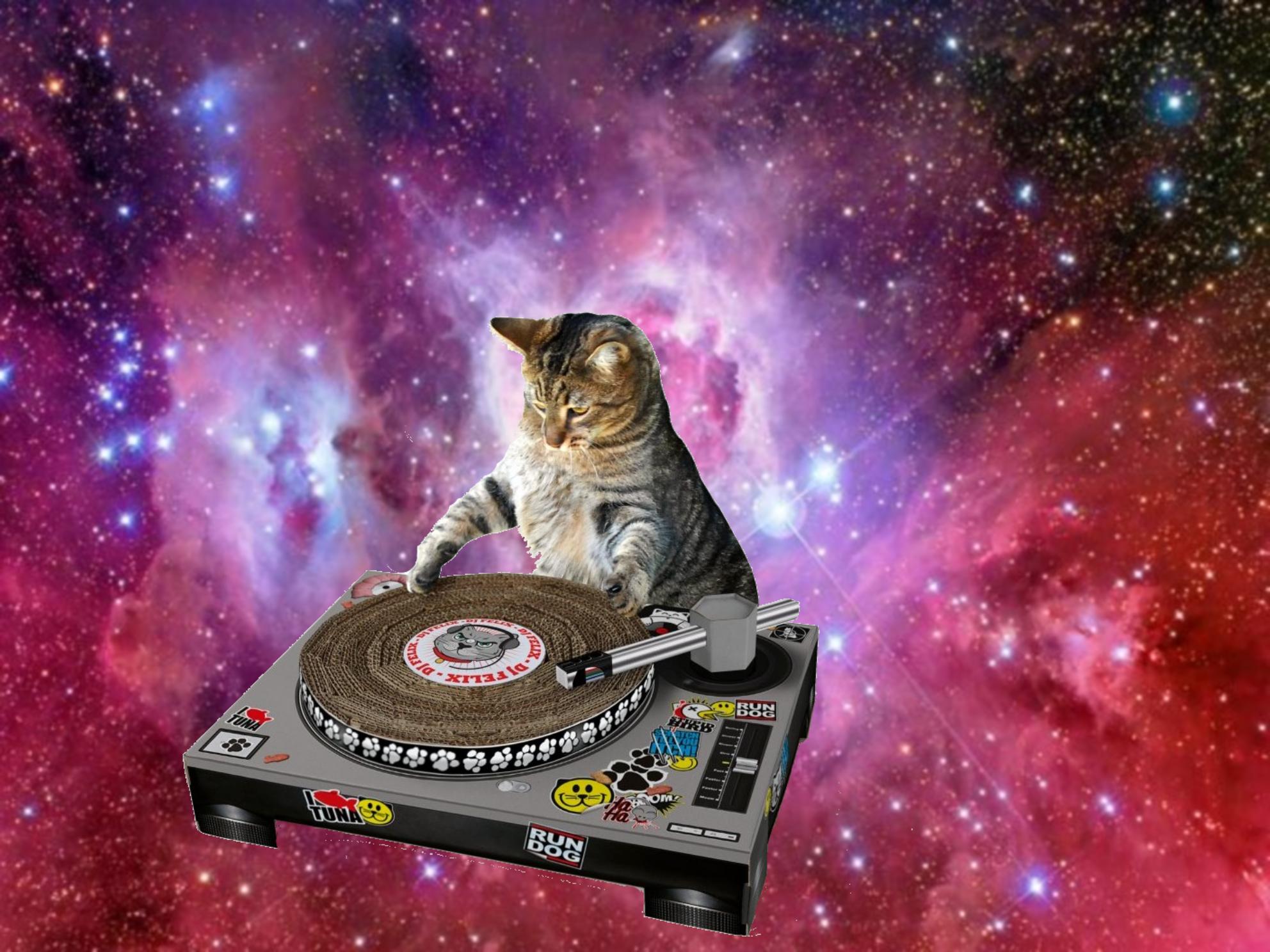 Galaxy Cat Desktop Wallpaper