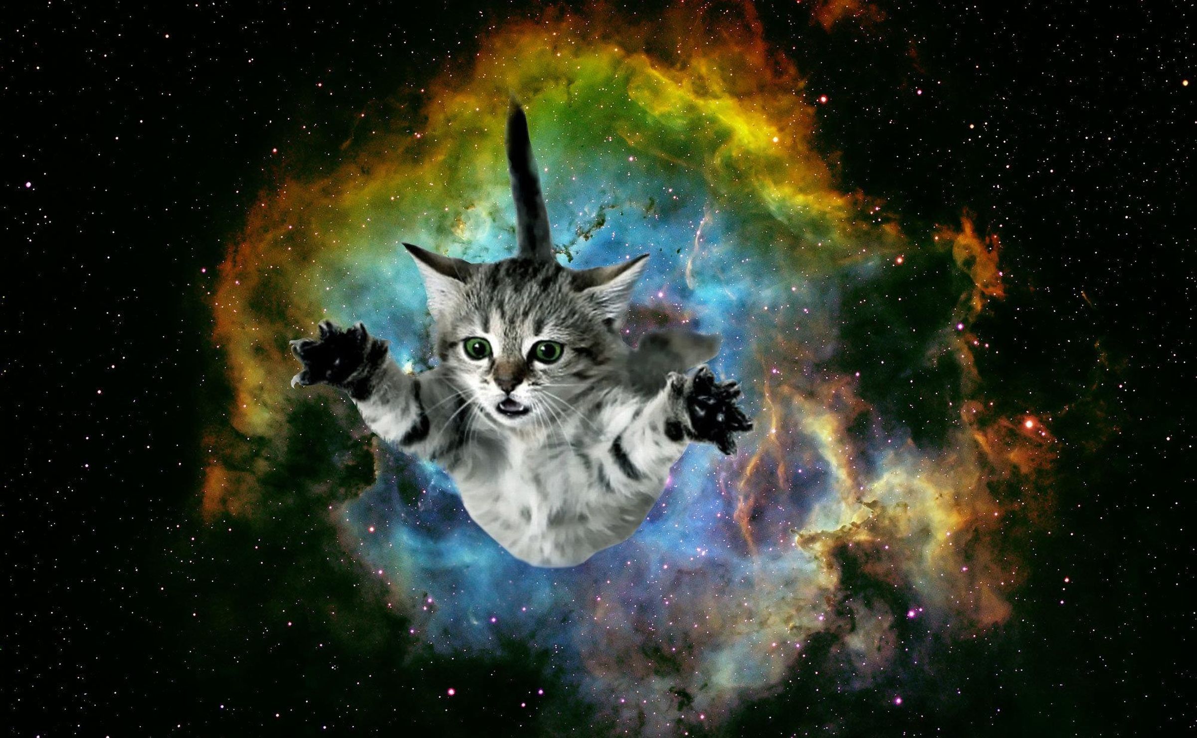 Cat Galaxy Wallpaper