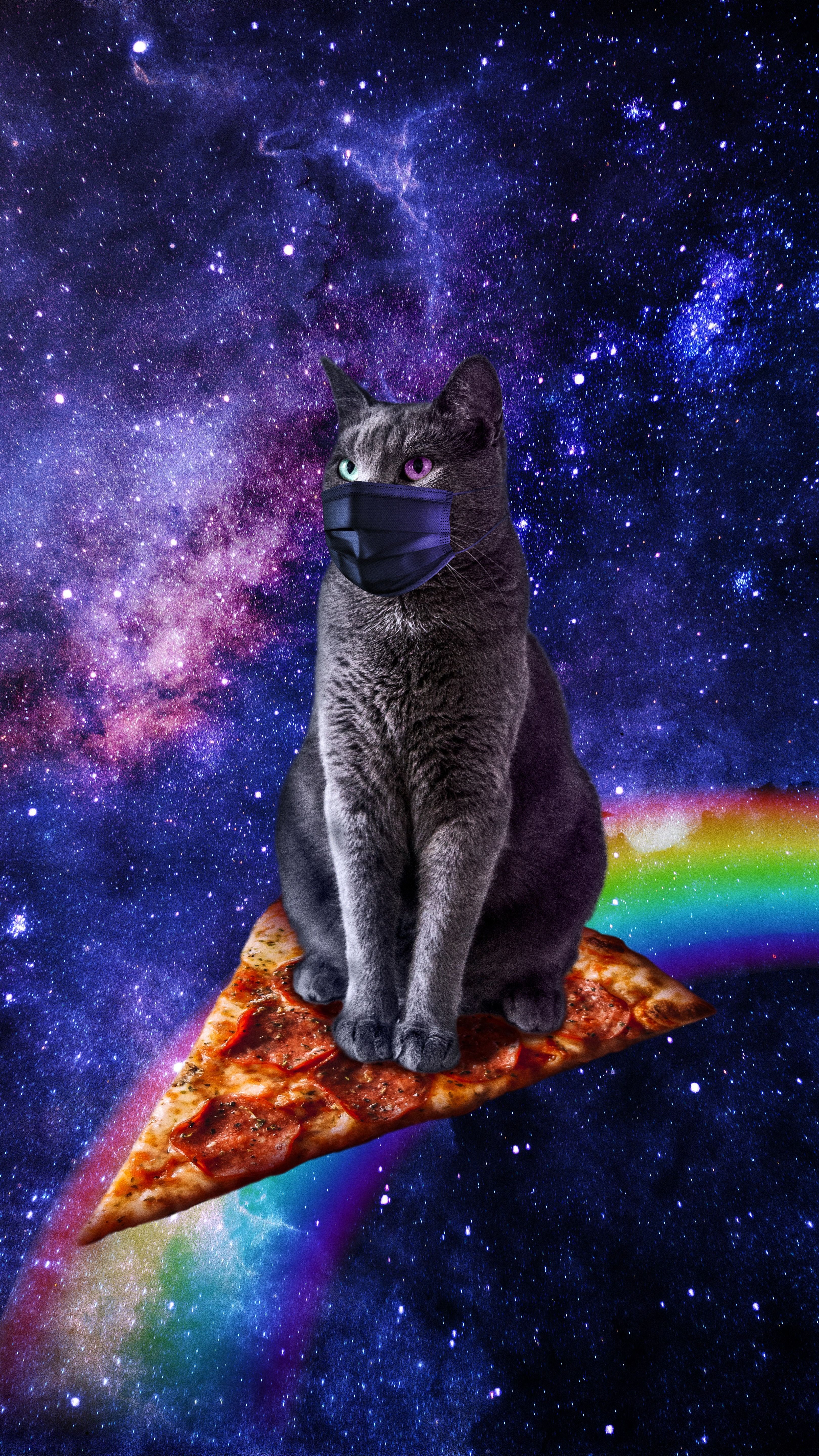 Wallpaper. Wallpaper, Space cat, Aesthetic instagram theme