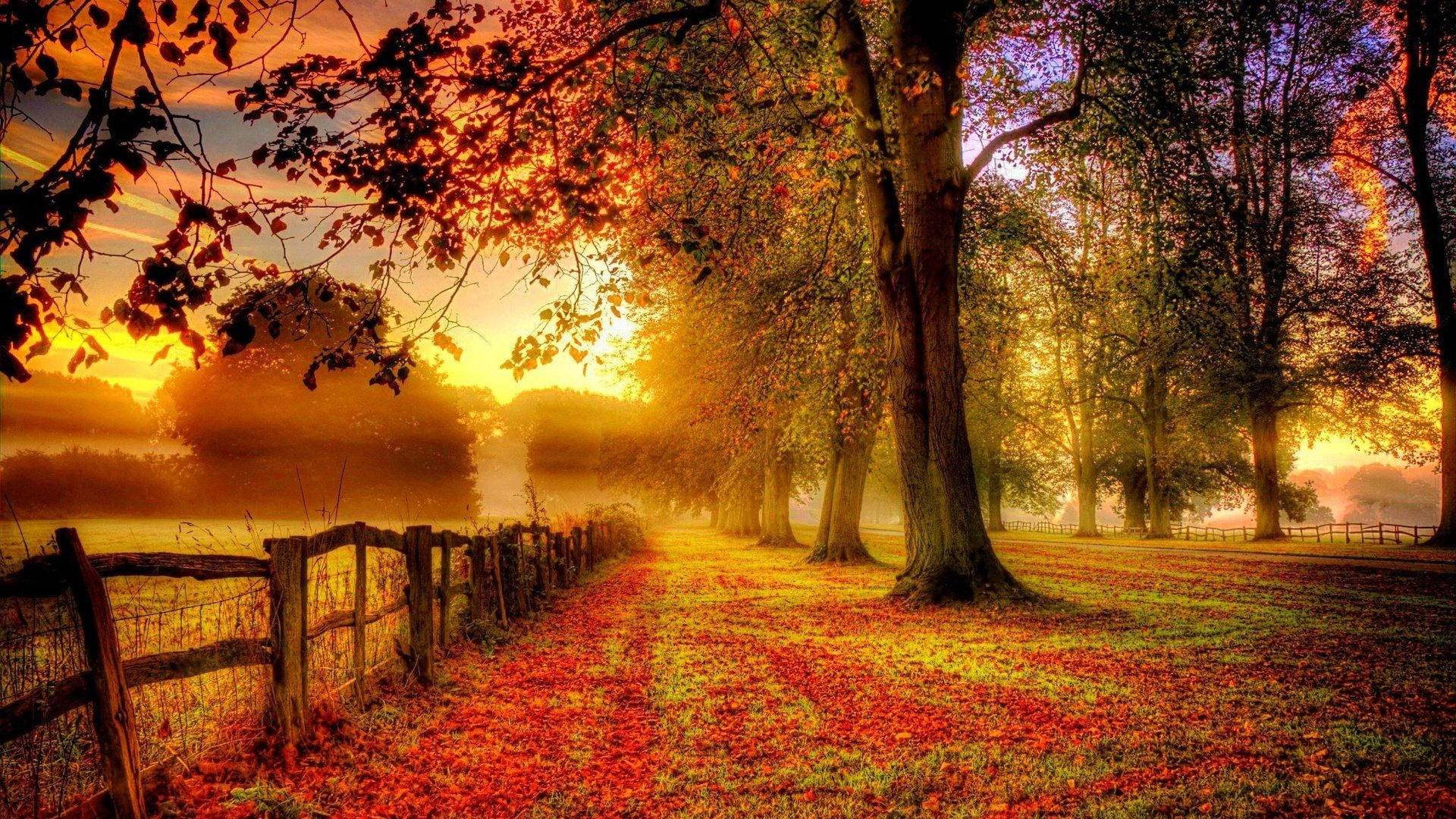 Download Autumn Country Road Sunset Wallpaper