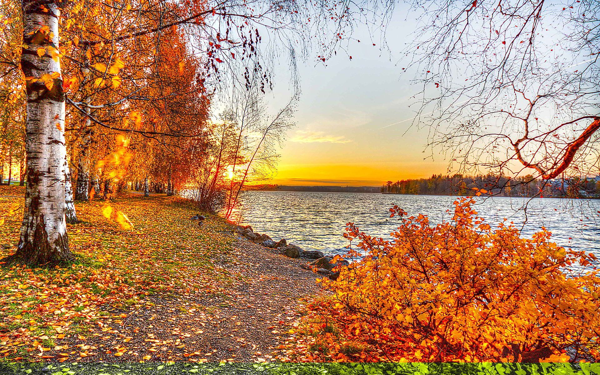 Autumn Wallpaper, Background, Image, Picture. Design Trends PSD, Vector Downloads. Autumn lake, Landscape, Lake sunset