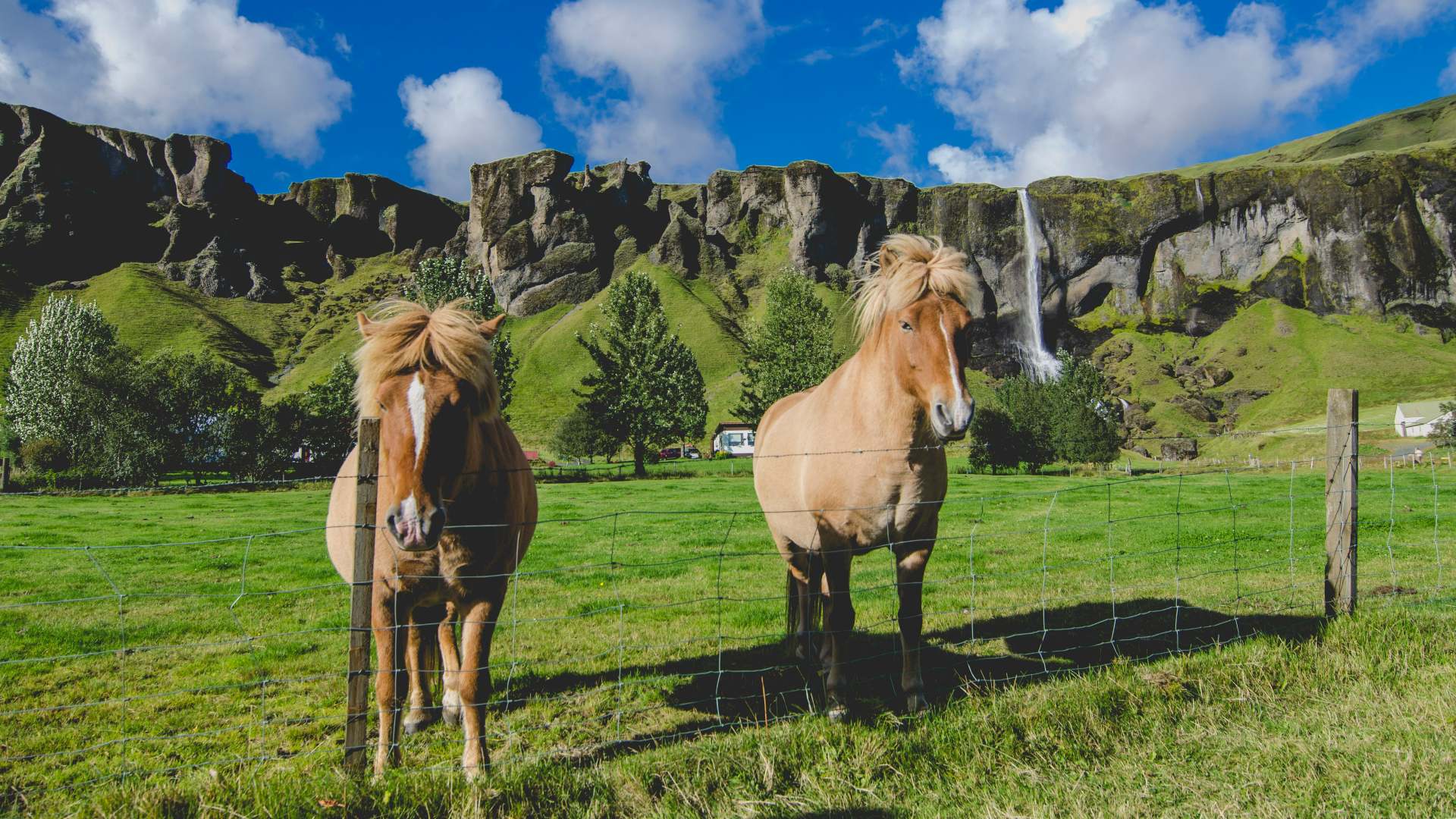 Summer in Iceland: How Best to Enjoy It