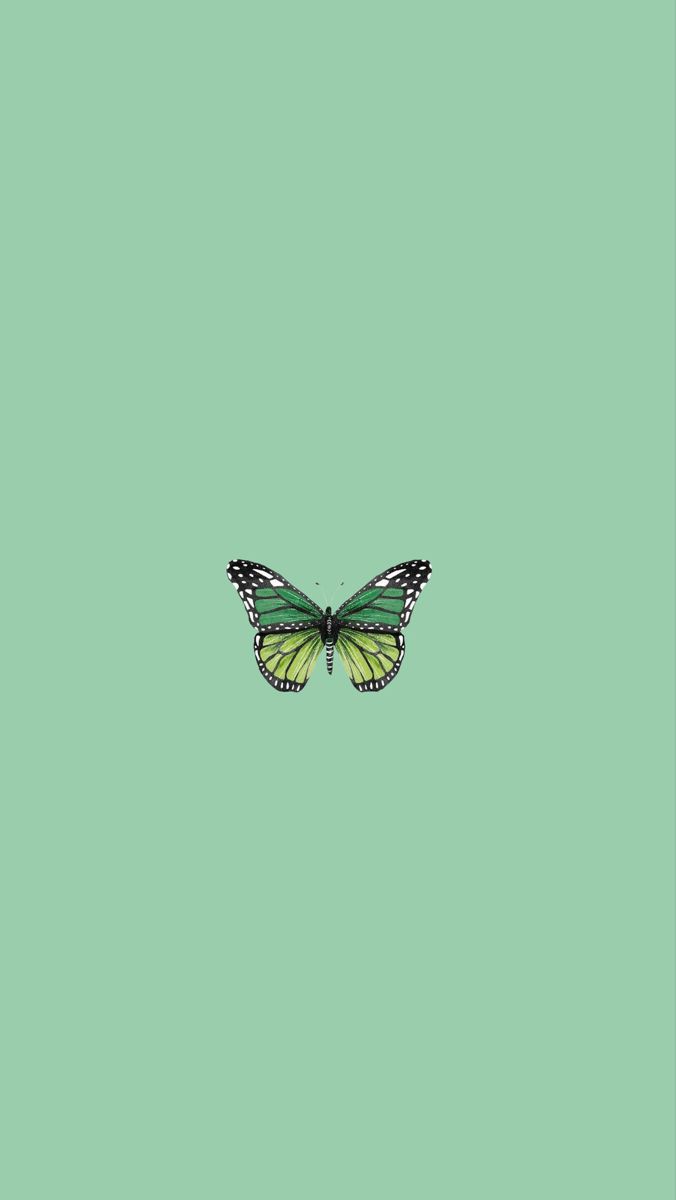 Green Butterfly Wallpaper Simple Vsco. Mint green wallpaper iphone, Butterfly wallpaper, Mint green wallpaper