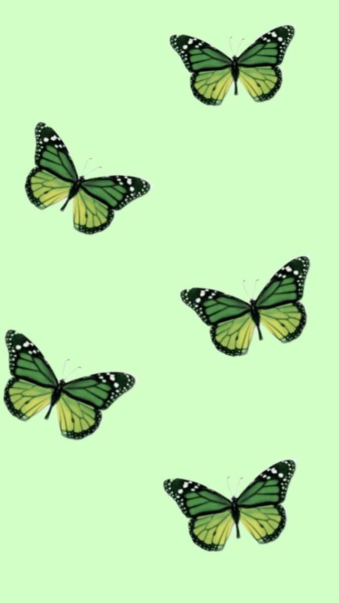 green, blue, pink, purple, black and orange. Dark green aesthetic, Green aesthetic tumblr, Mint green aesthetic