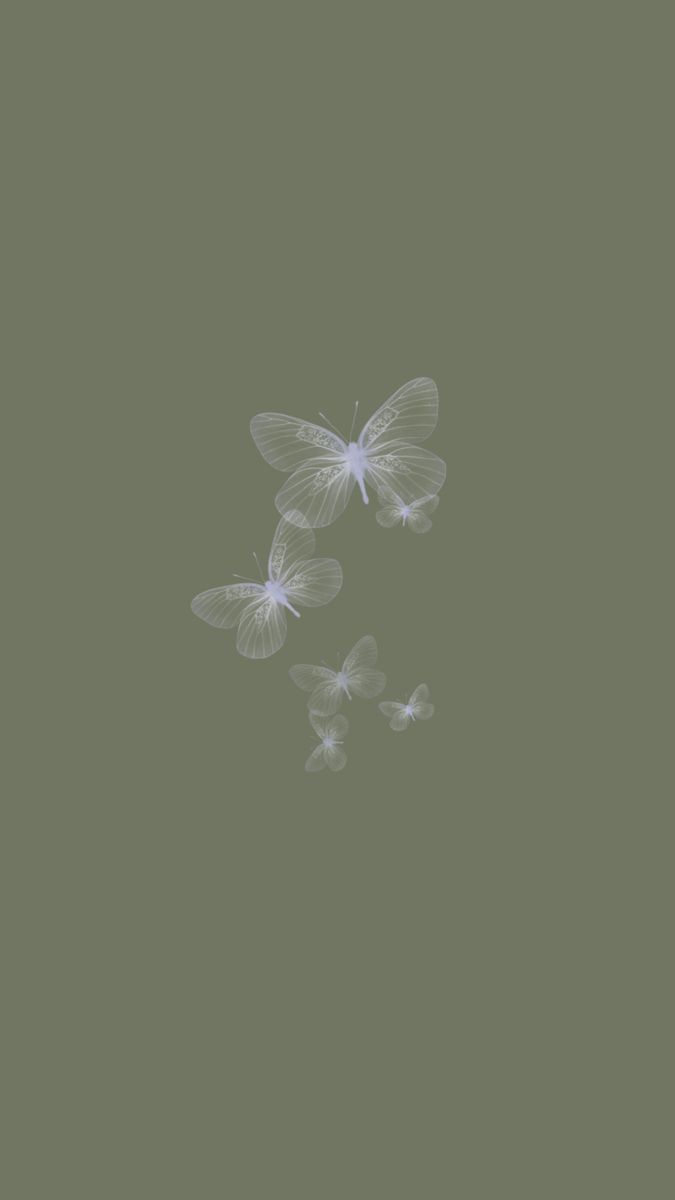Sage green butterfly wallpaper<3. iPhone wallpaper green, Butterfly wallpaper, Pretty wallpaper