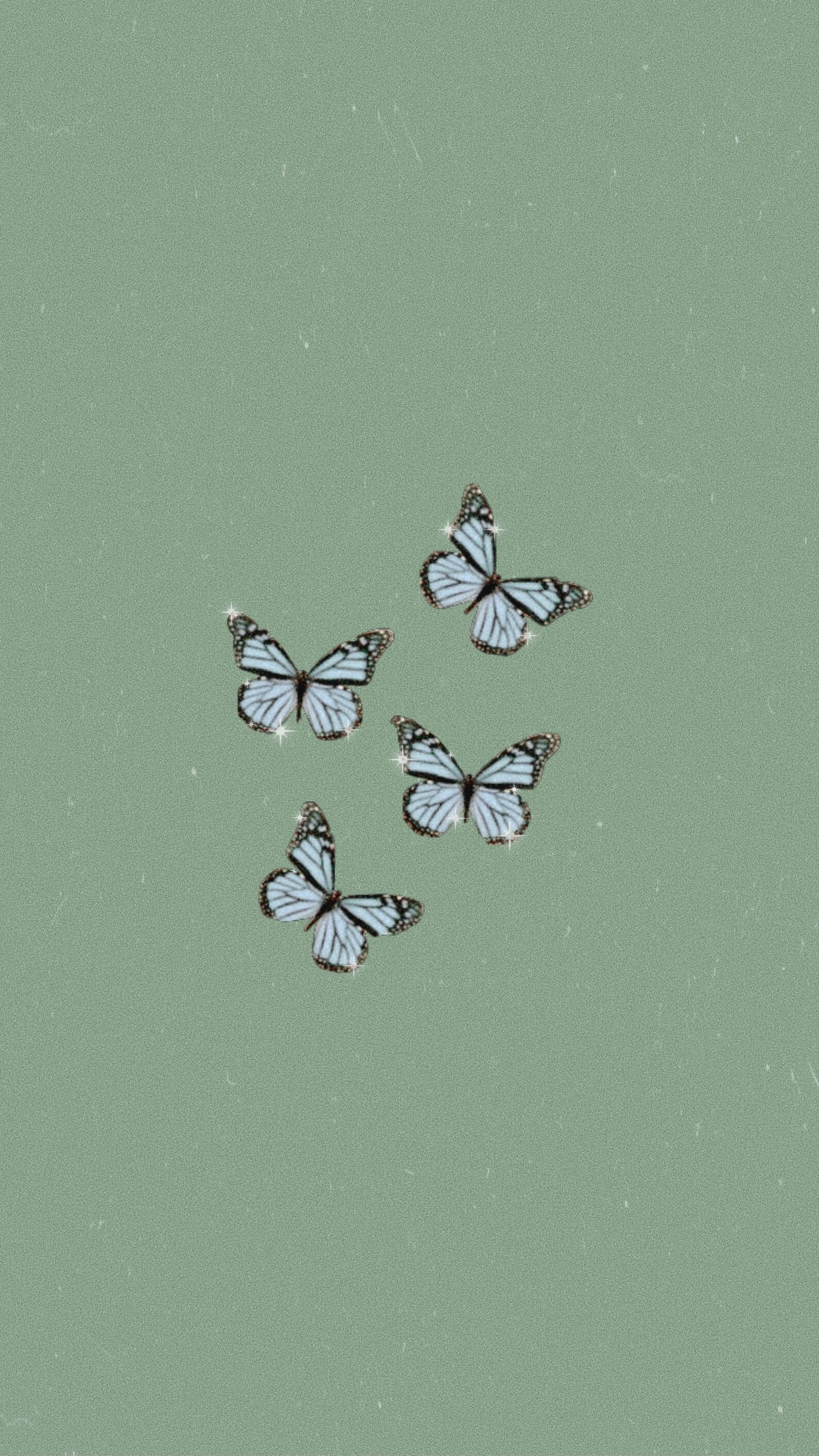 Sage Green Aesthetic Butterfly Digital Art by Bastav  Pixels