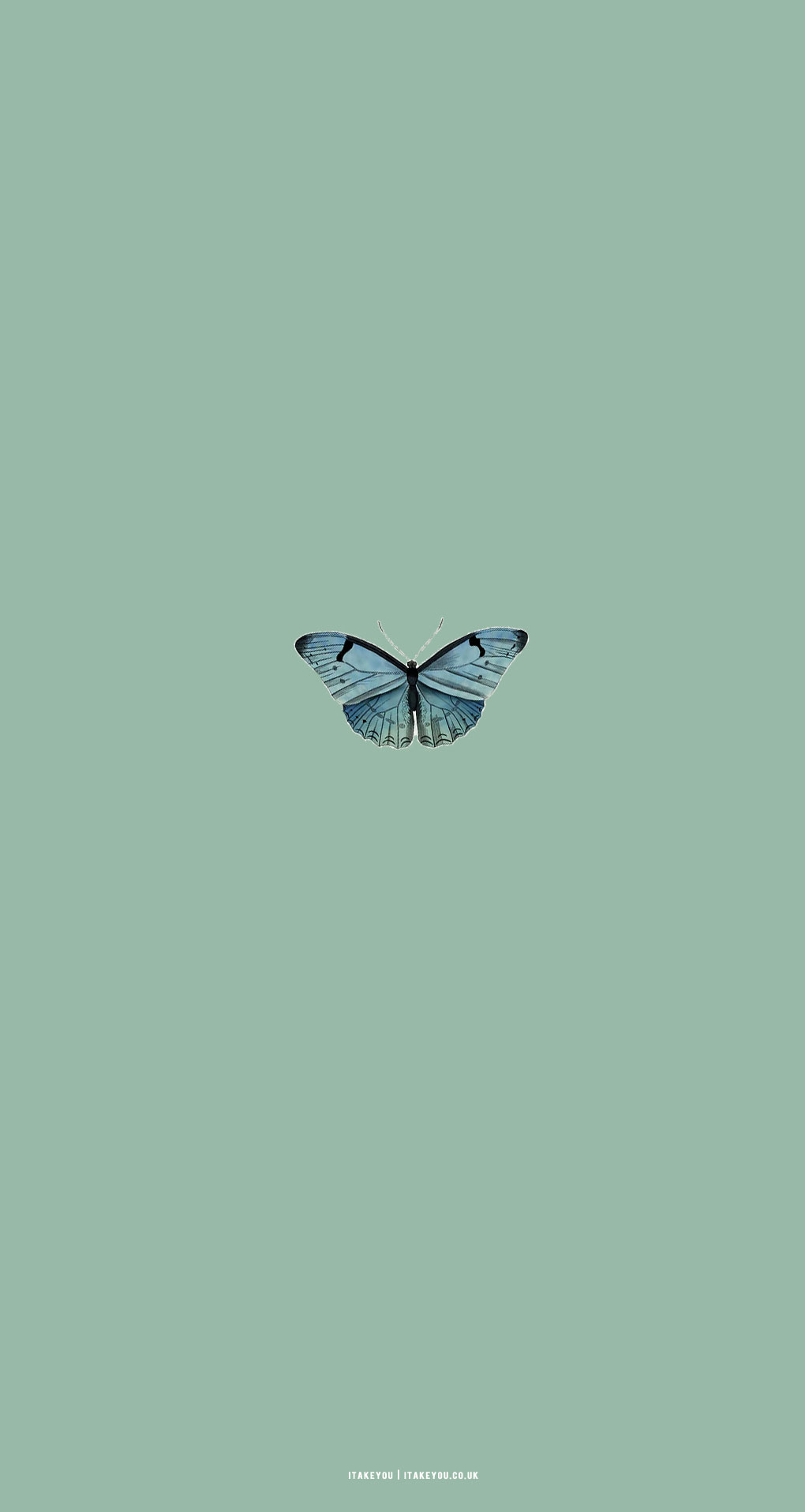 Sage Green Minimalist Wallpaper for Phone, A Butterfly I Take You. Wedding Readings. Wedding Ideas