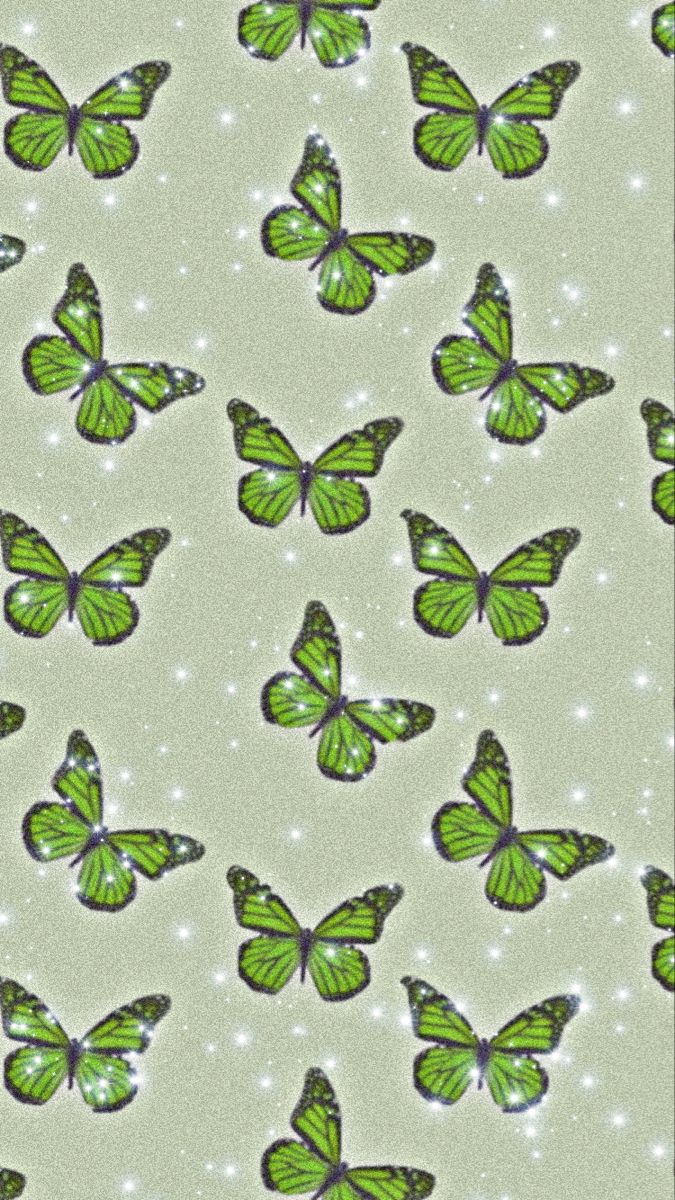 wallpaper butterfly green