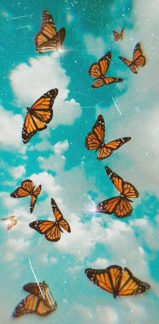 Butterfly Aesthetic wallpaper