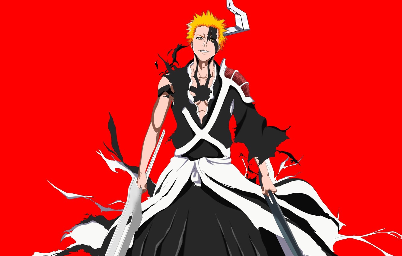 ichigo kurosaki quincy and shinigami