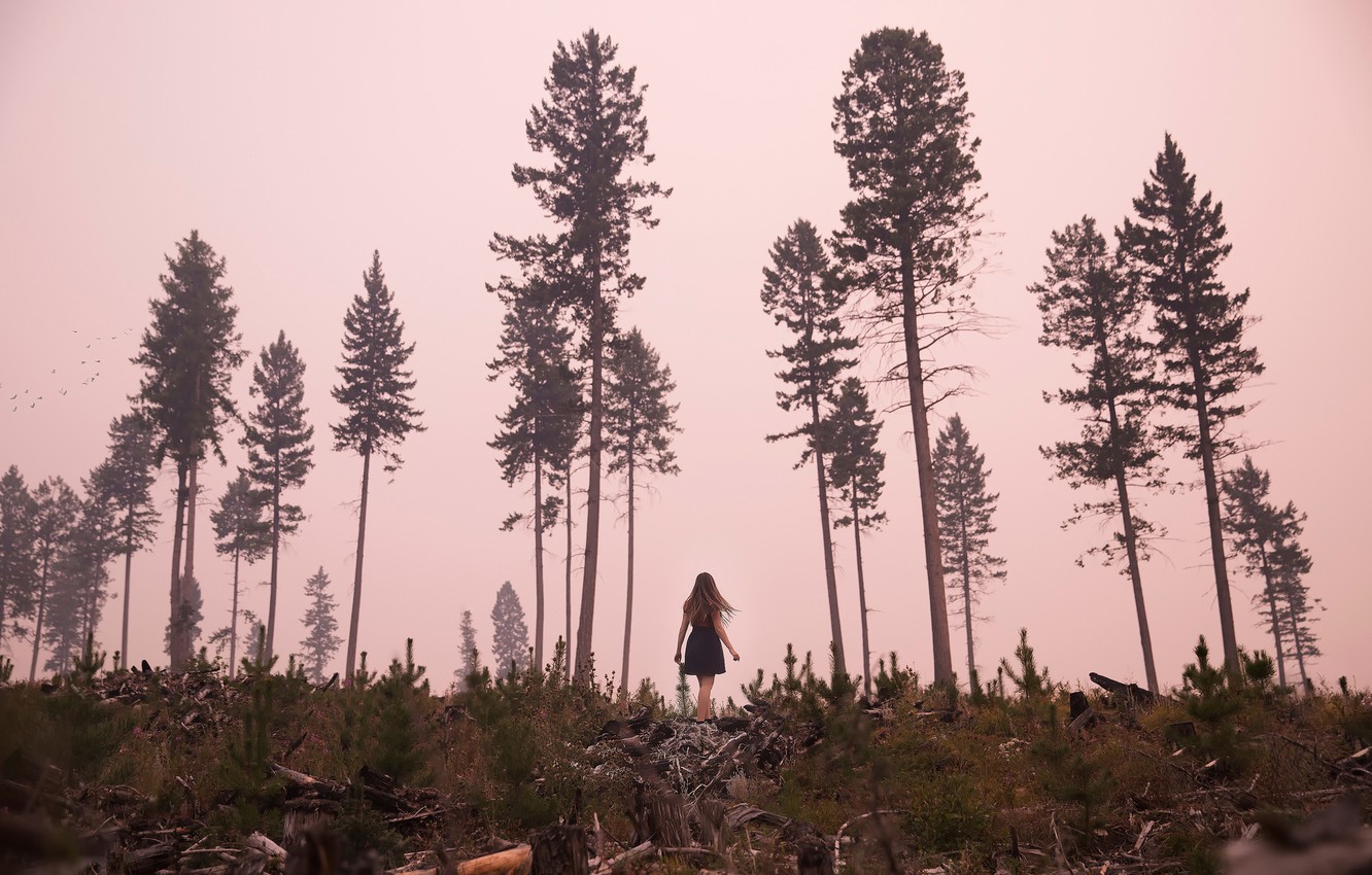 Wallpaper girl, trees, dress, cutting, Lichon image for desktop, section природа