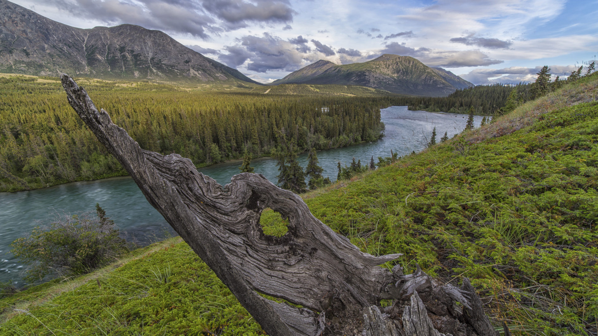 Takhini River Valley Yukon Territory Canada Nature Landscape
