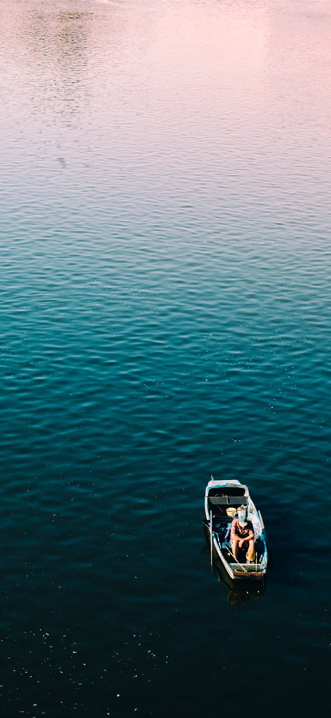 Morning Fish iPhone 11 Wallpaper Free Download