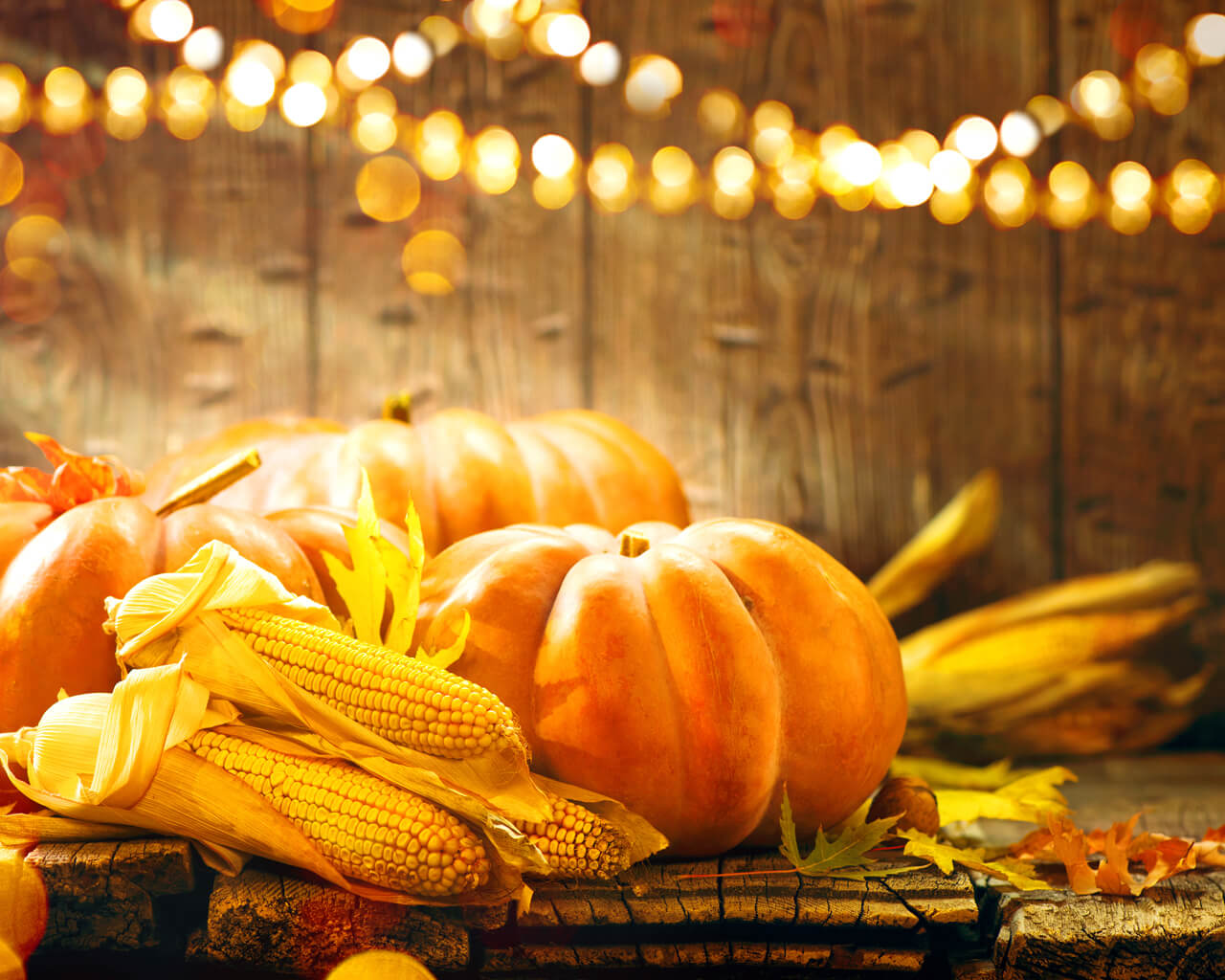 fall festival background