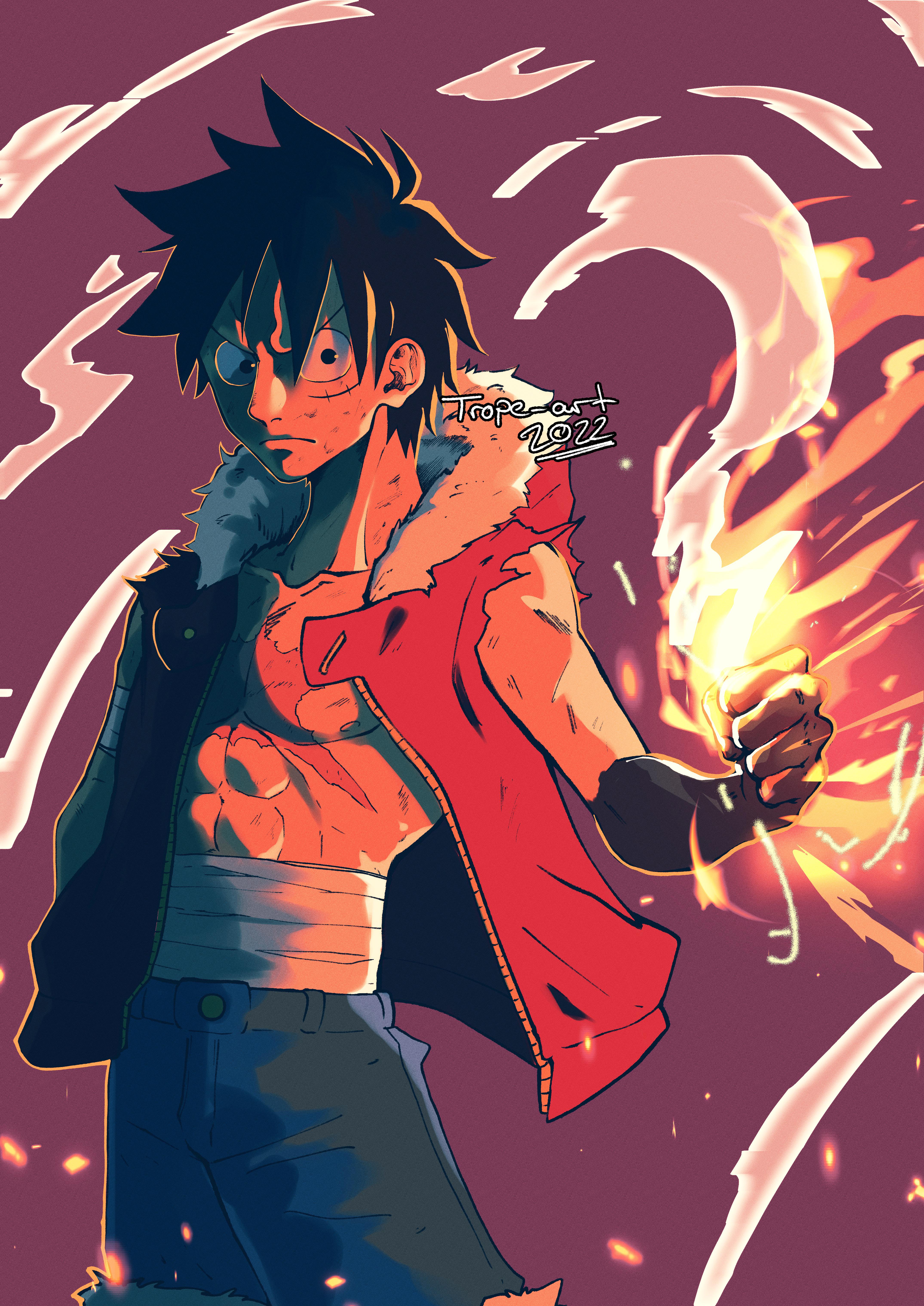 3D2Y Luffy (me)