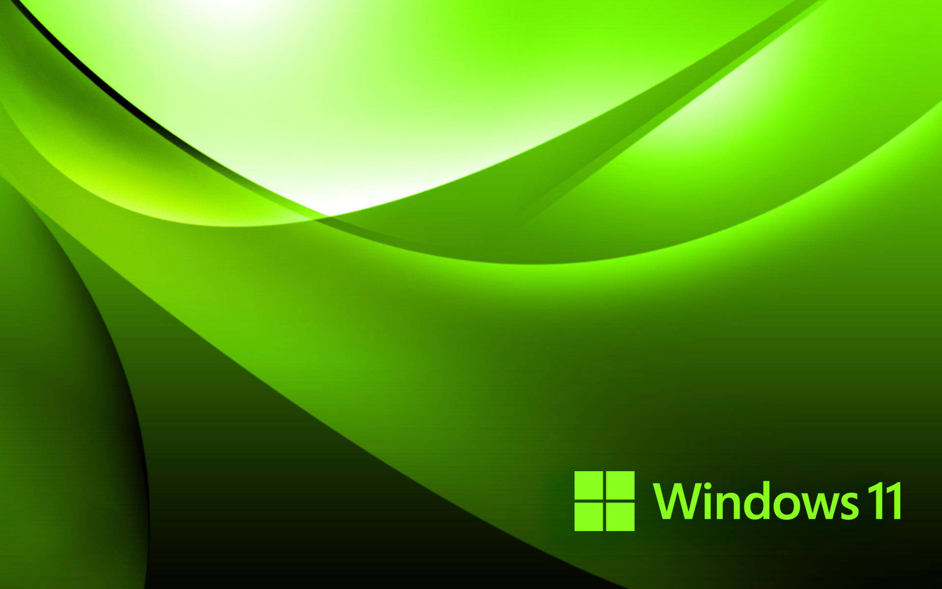 Download Windows 11 Green Wallpaper