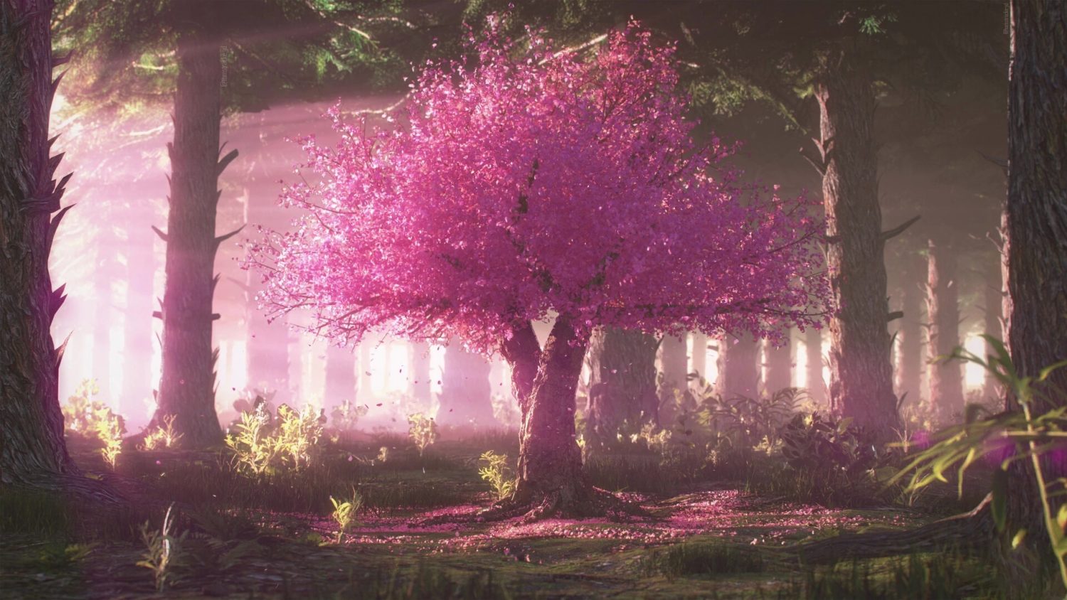 Pink forest steam фото 6