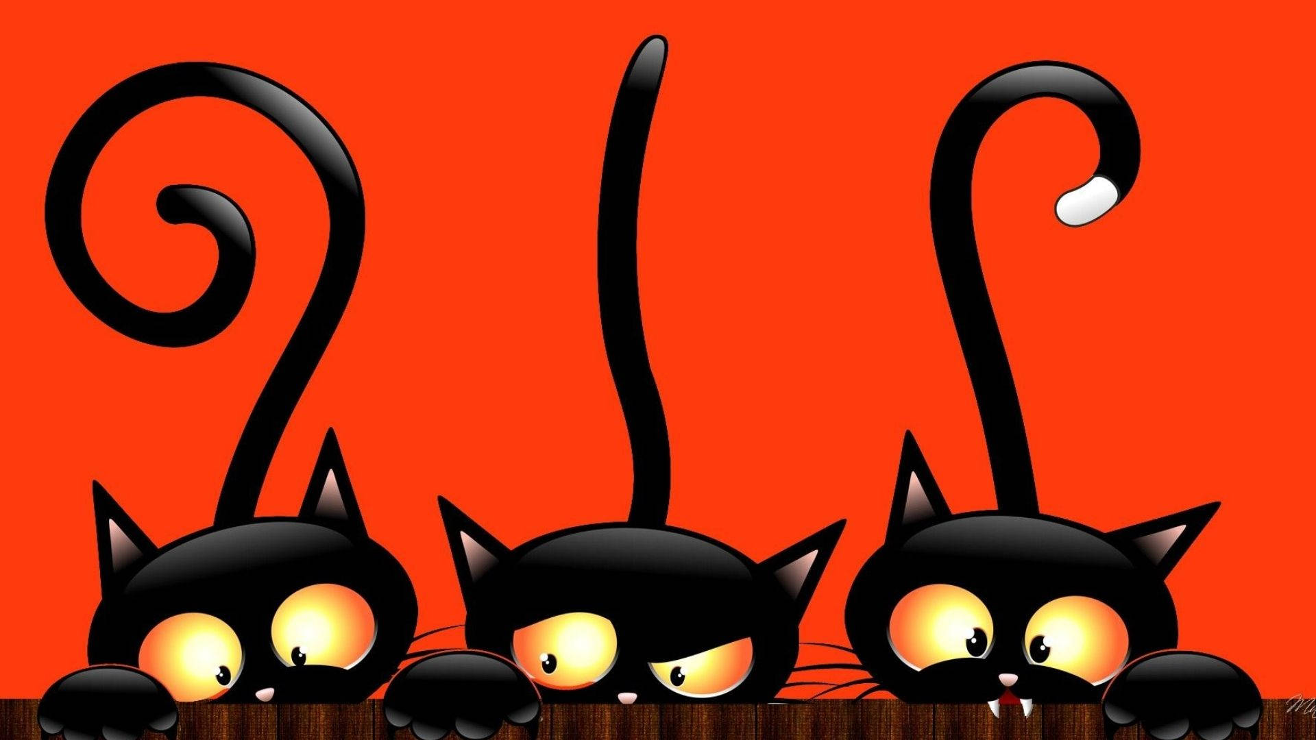 Download Peeking Out Cartoon Halloween Cats Wallpaper