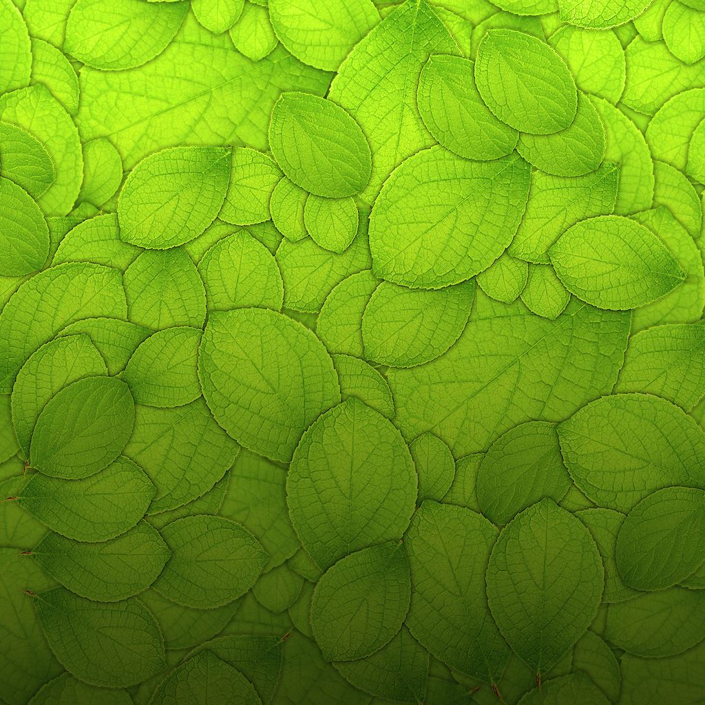 Pure Green Leaf Texture Pattern Background iPad Wallpaper Free Download