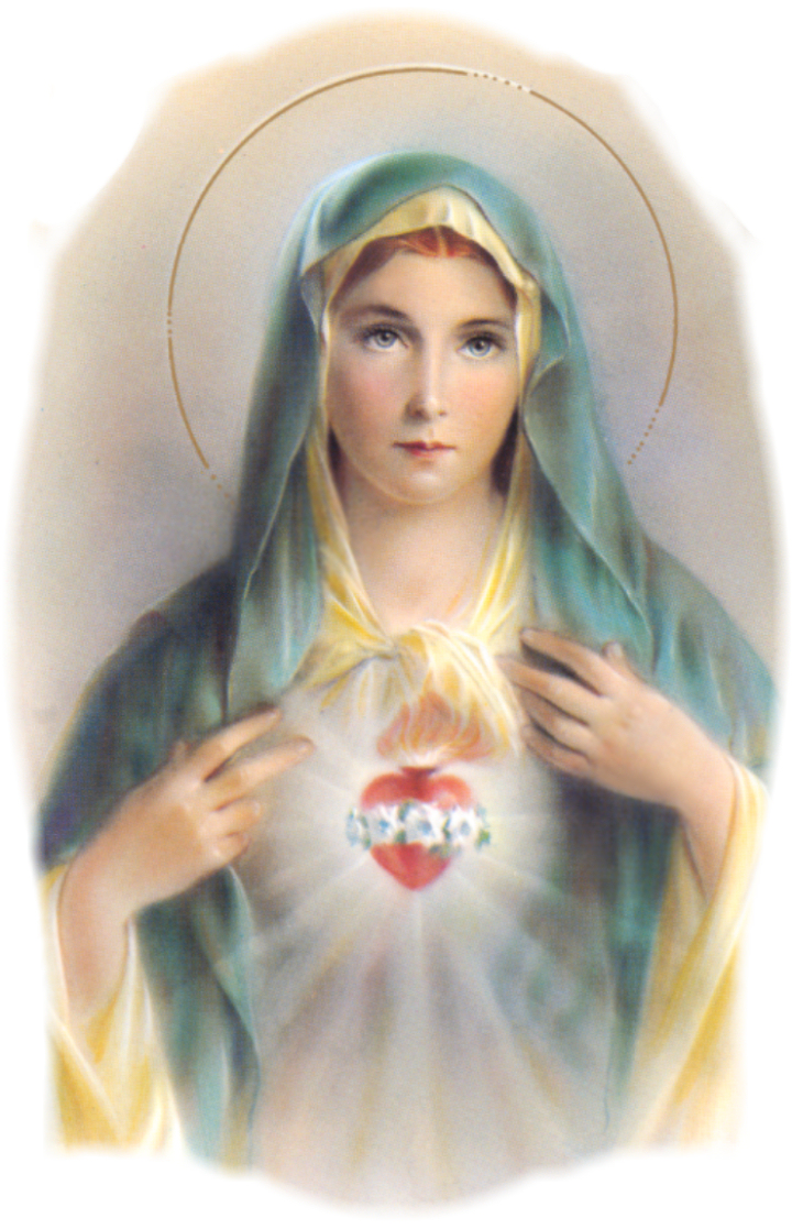 Sacred Heart Of Mary Wallpapers - Wallpaper Cave