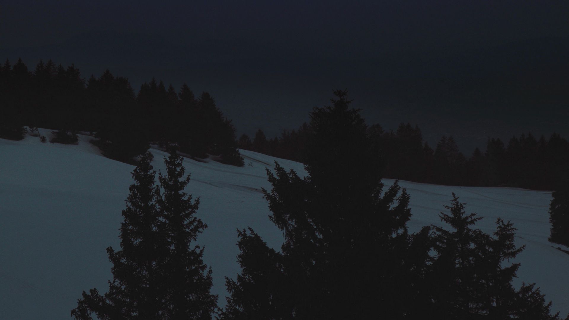 Download wallpaper 1920x1080 night, landscape, winter, moon, trees, dark full hd, hdtv, fhd, 1080p HD background