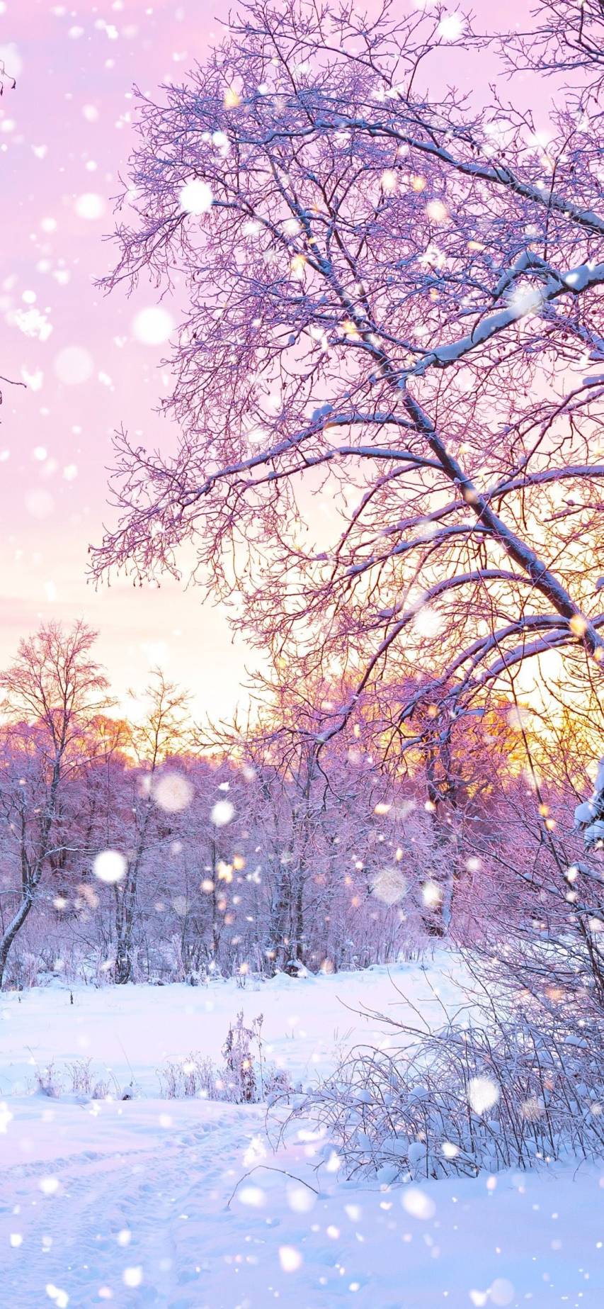 Pink Aesthetic Wonderful Wallpaper