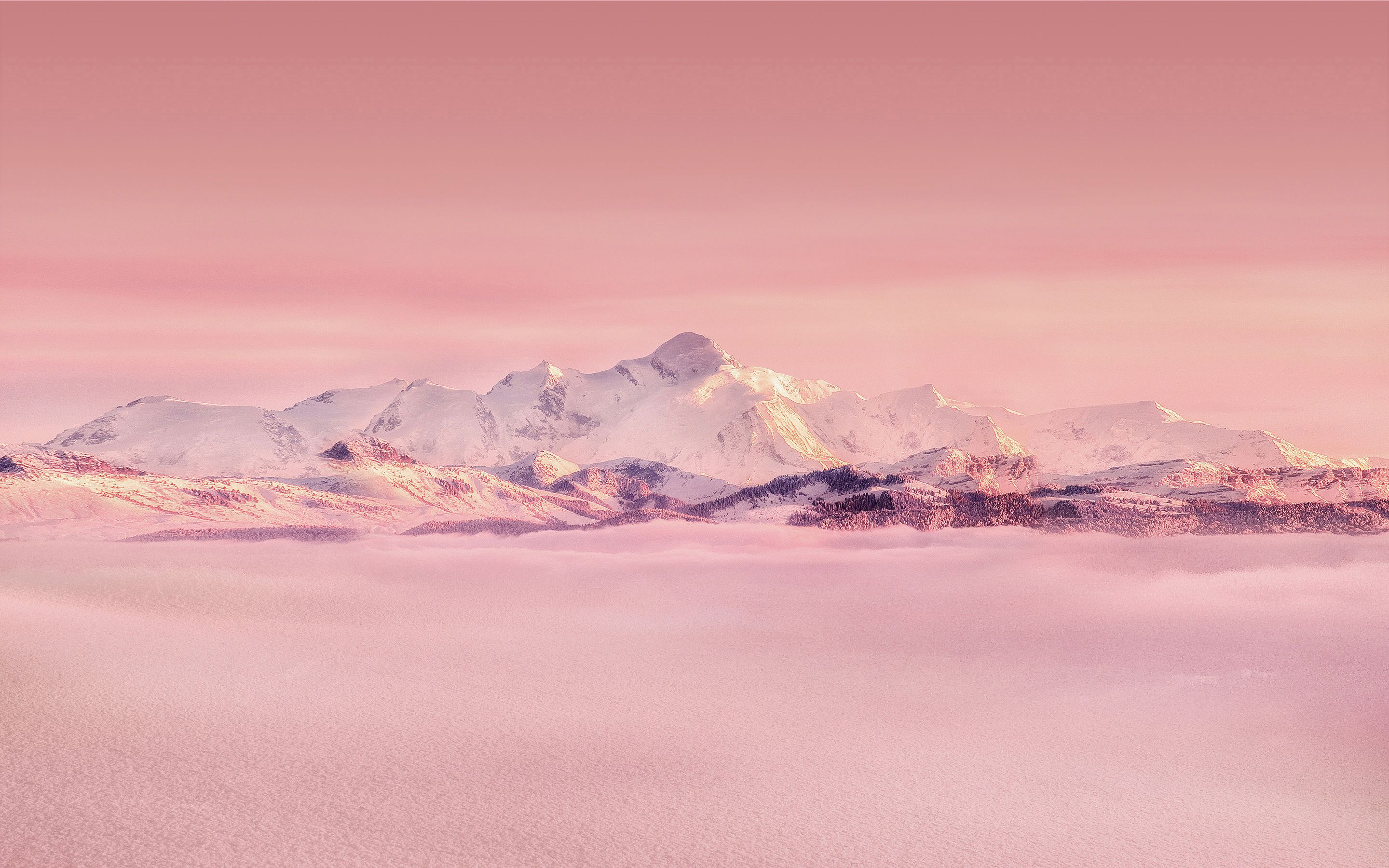 Pink Winter Wallpaper For Desktop