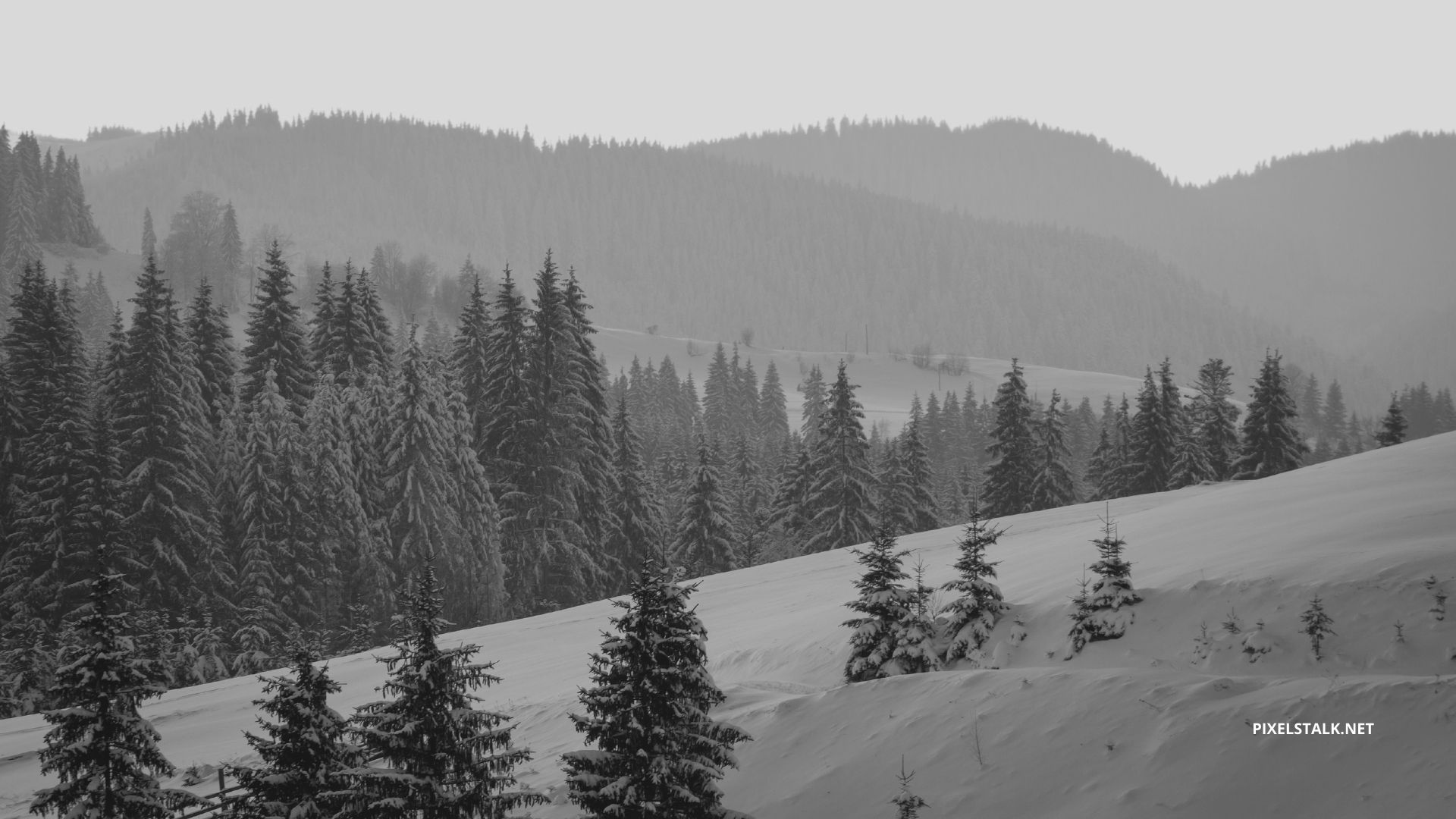 1920x1080 Dark Winter Wallpapers - Wallpaper Cave