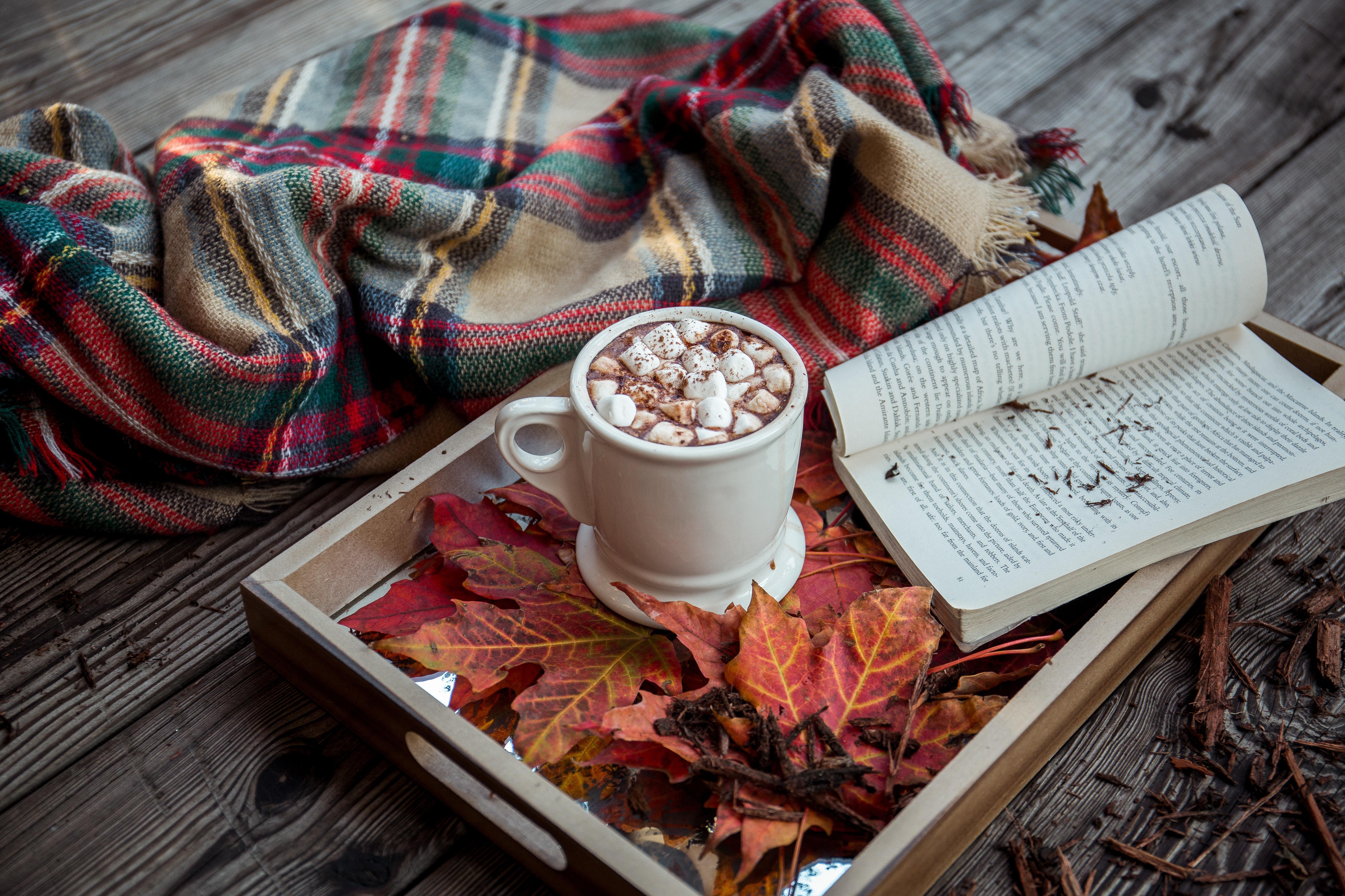 Autumn Books Wallpaper