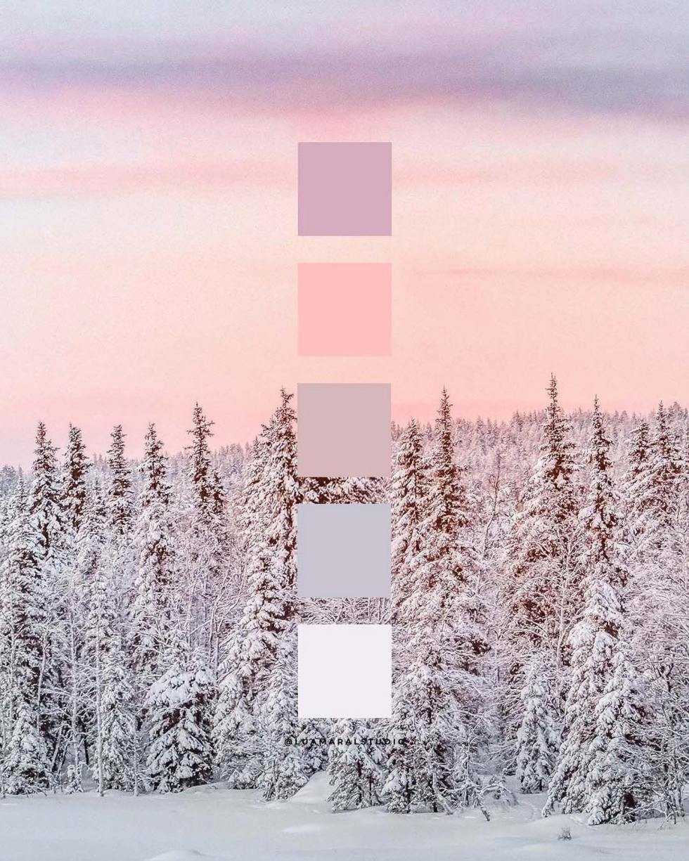 Beautiful pink winter color palettes for your creative projects ⋆ Aesthetic Design Shop