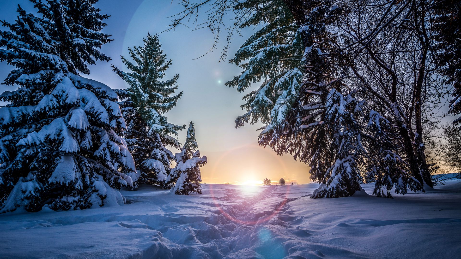 Download wallpaper 1920x1080 winter, snow, sunlight, path, trees full hd, hdtv, fhd, 1080p HD background