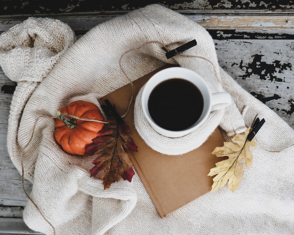 Cozy Fall Picture. Download Free Image