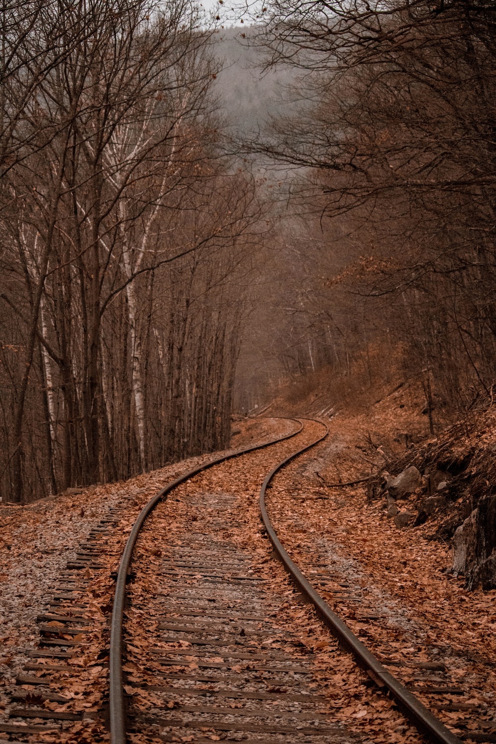 Autumn Image. Download Free Image