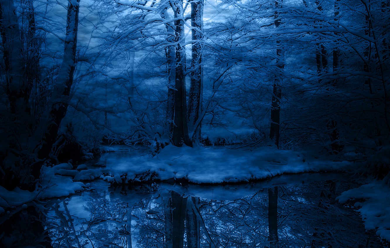 Wallpaper cold, winter, frost, snow, trees, blue image for desktop, section природа