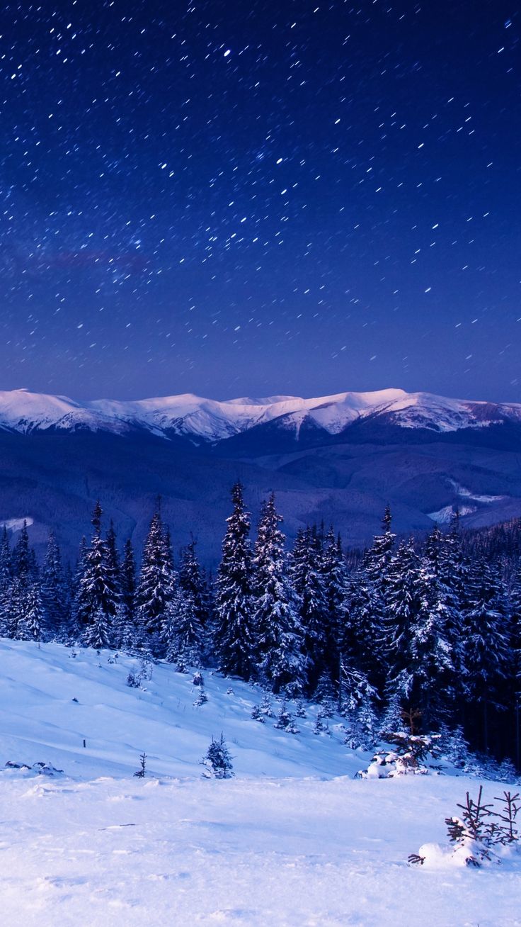 Star Forest Night Home Mountains Trees #iPhone #plus #wallpaper. Winter scenery, Winter landscape, Winter picture