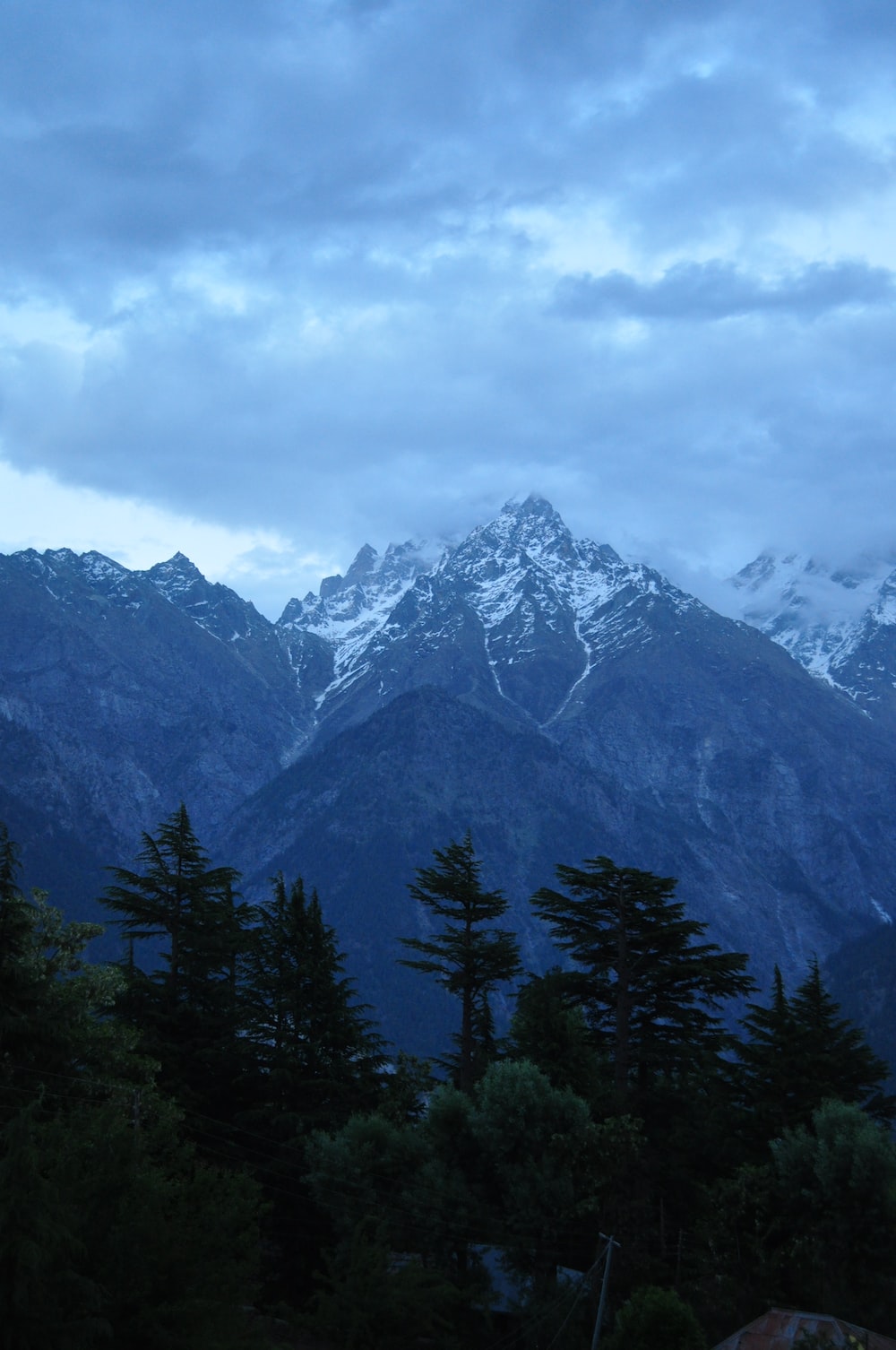 green forest and snowy mountains photo