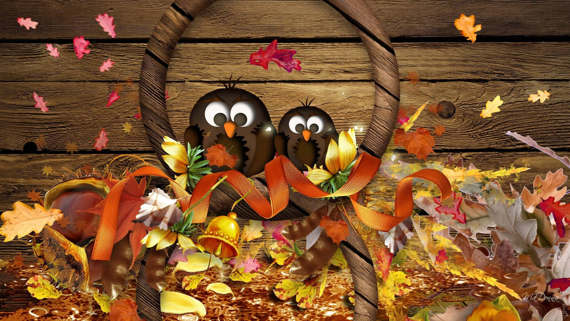 Download Thanksgiving Day Owls Wallpaper