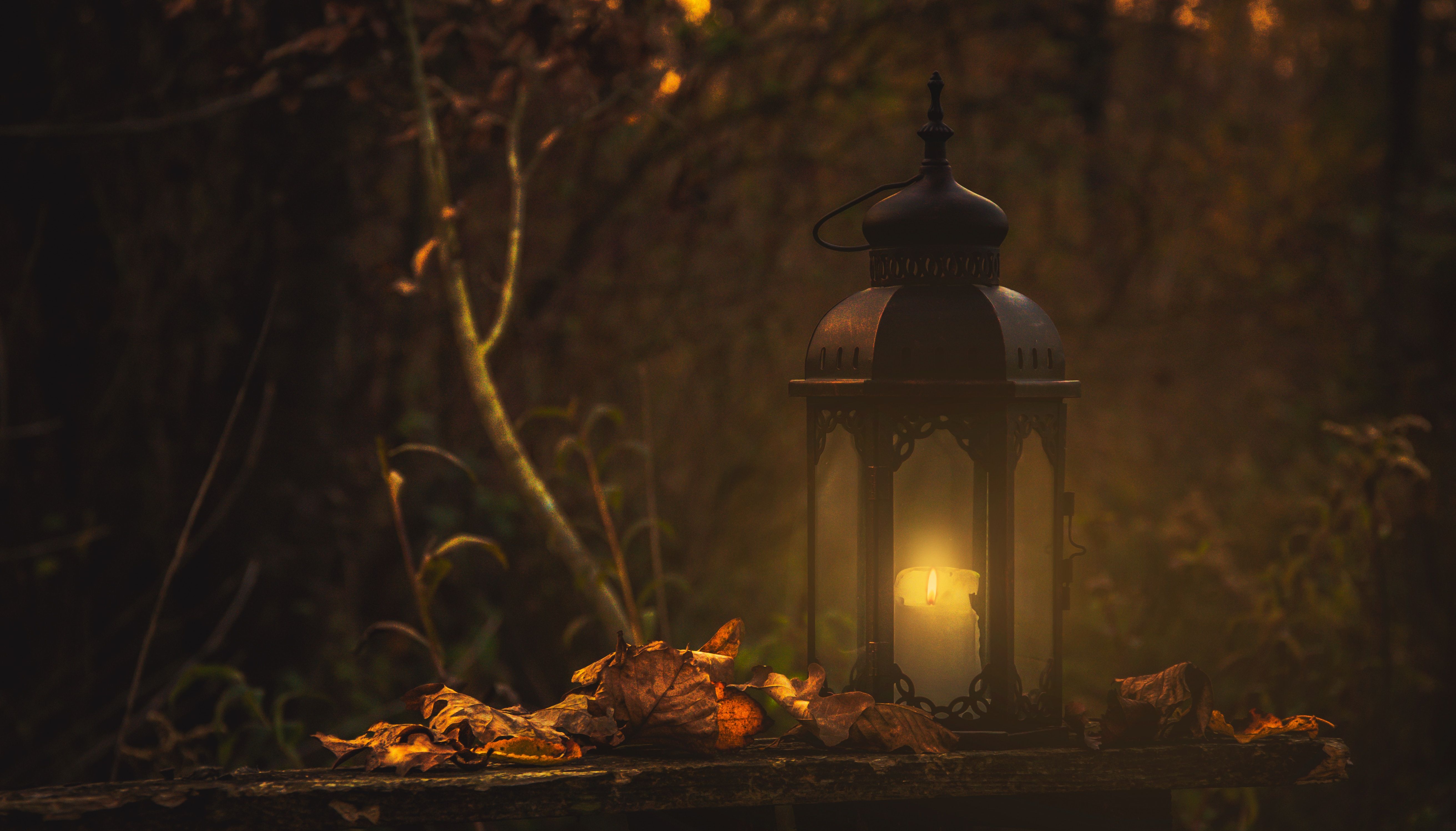 Autumn Lantern Wallpaper