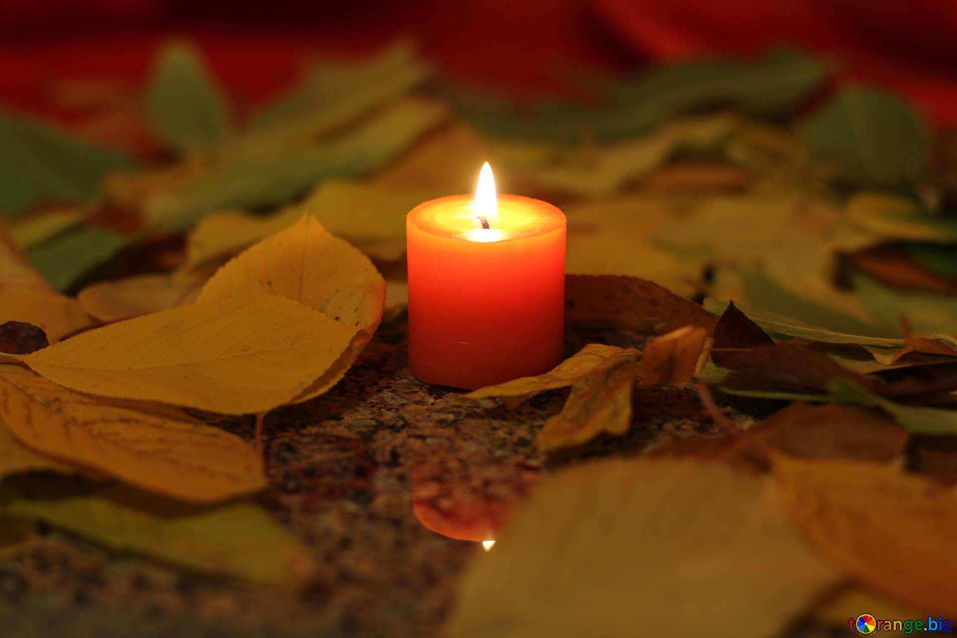 Autumn Leaves Image Candle And Autumn Leaves Image Leaves № 24252. Torange.biz Free Pics On Cc By License