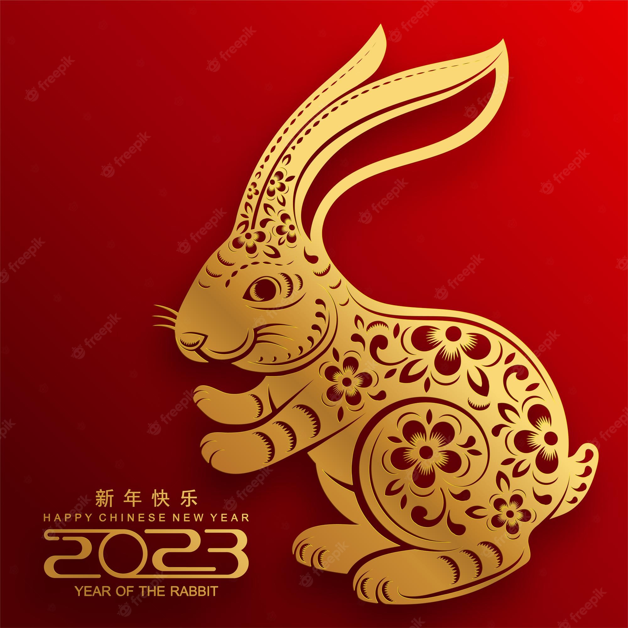 Premium Vector. Happy chinese new year 2023 year of the rabbit zodiac sign, gong xi fa cai with flower, lantern, asian elements gold paper cut style on color background. translation, happy new