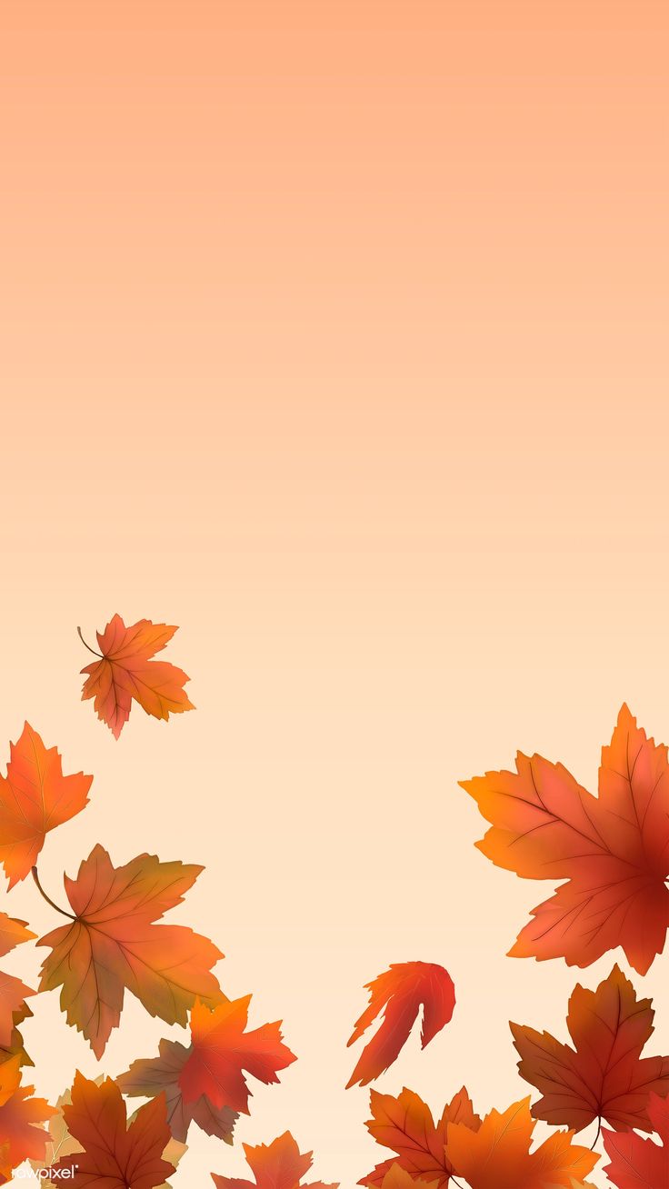 Red maple leaf framed background