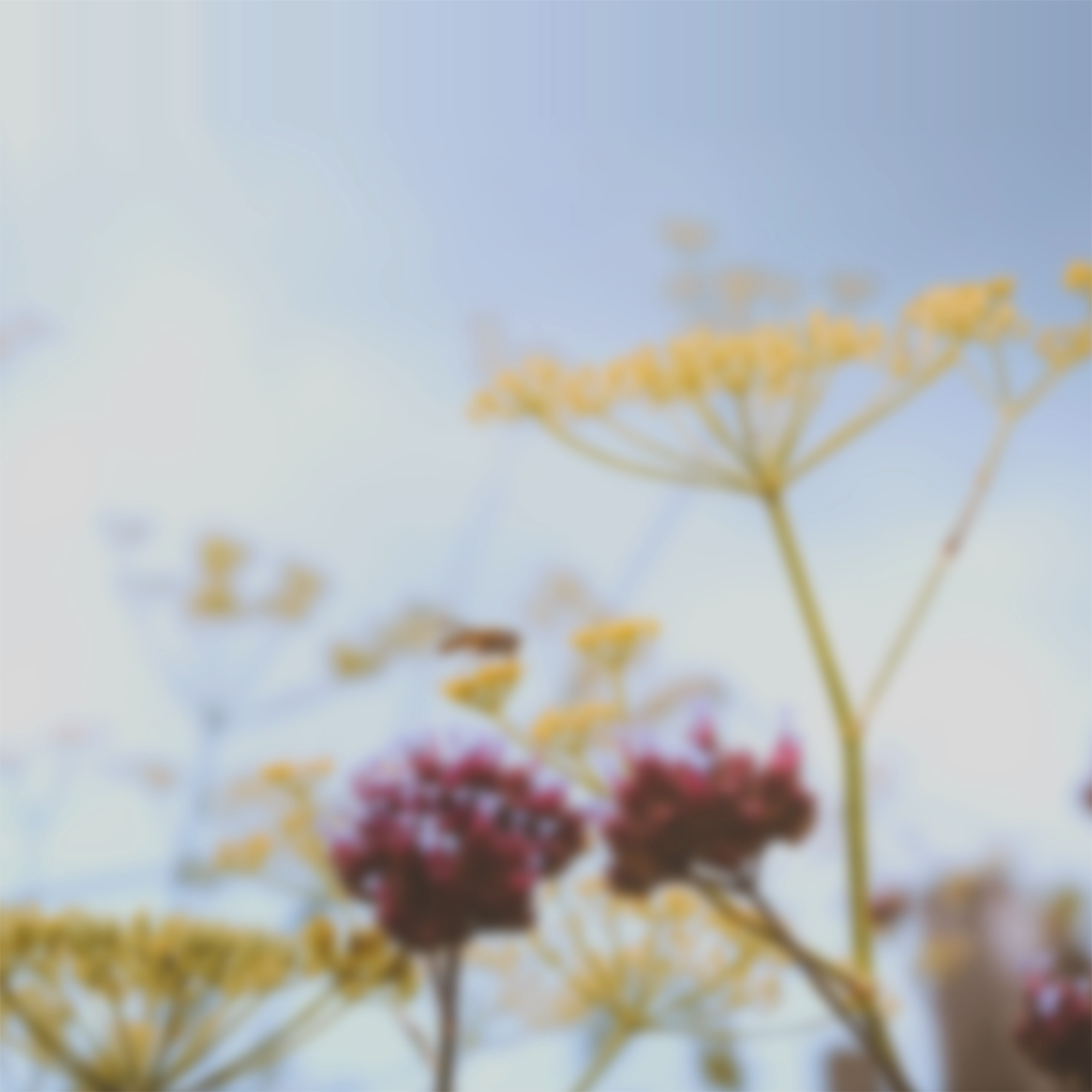 Download the new Home app wallpaper from iOS 16